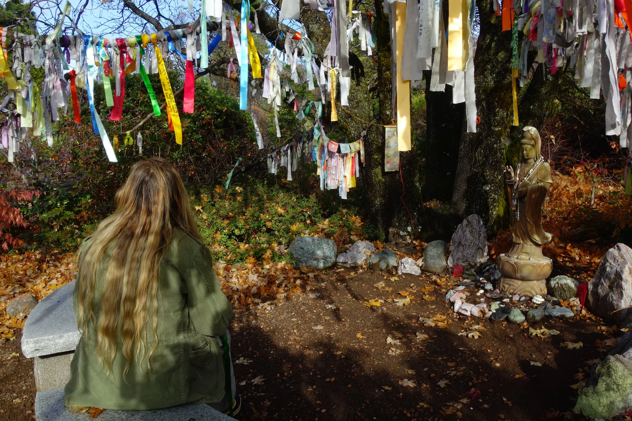 mt. Shasta Spiritual Tours 