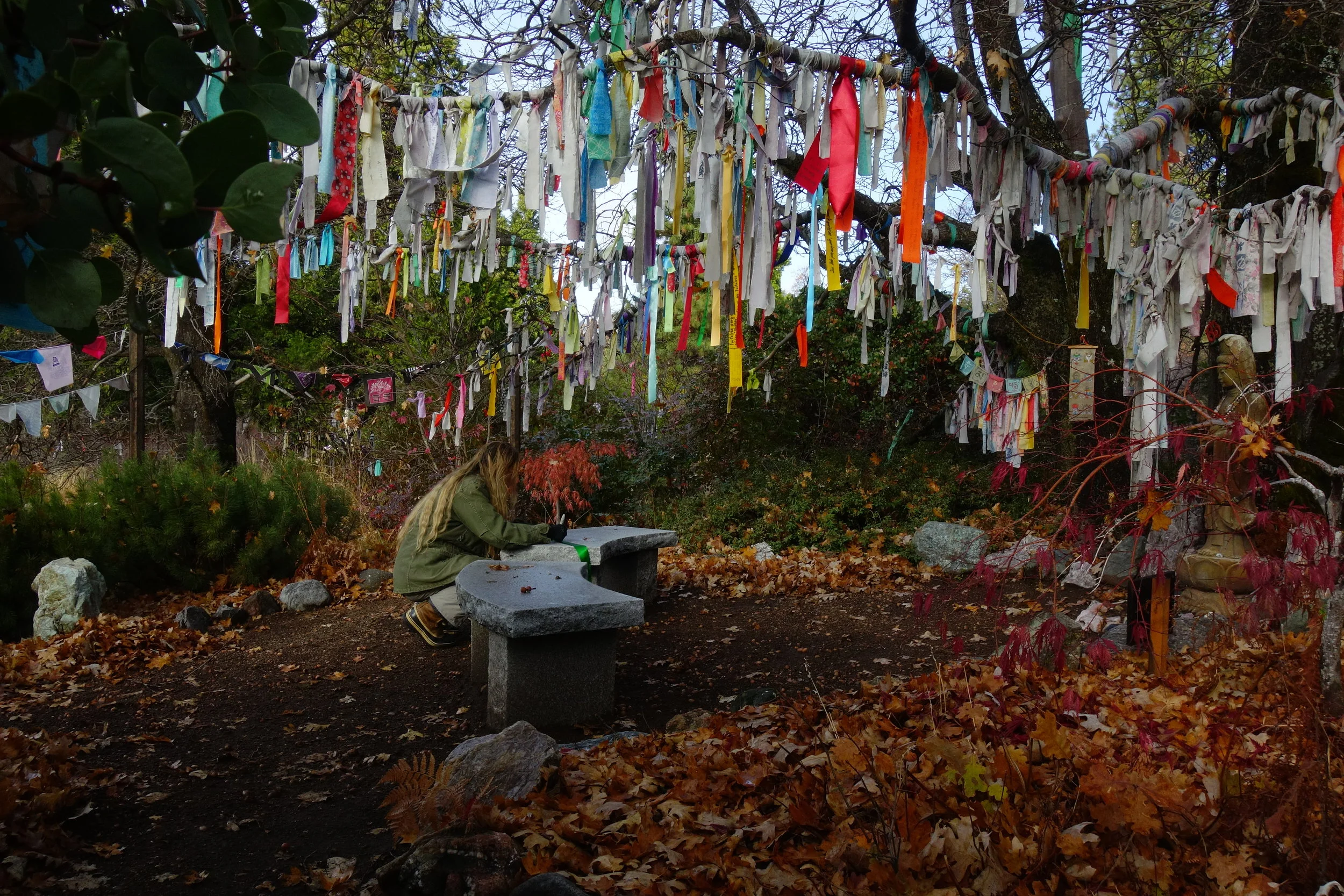 mt. Shasta Spiritual Tours 
