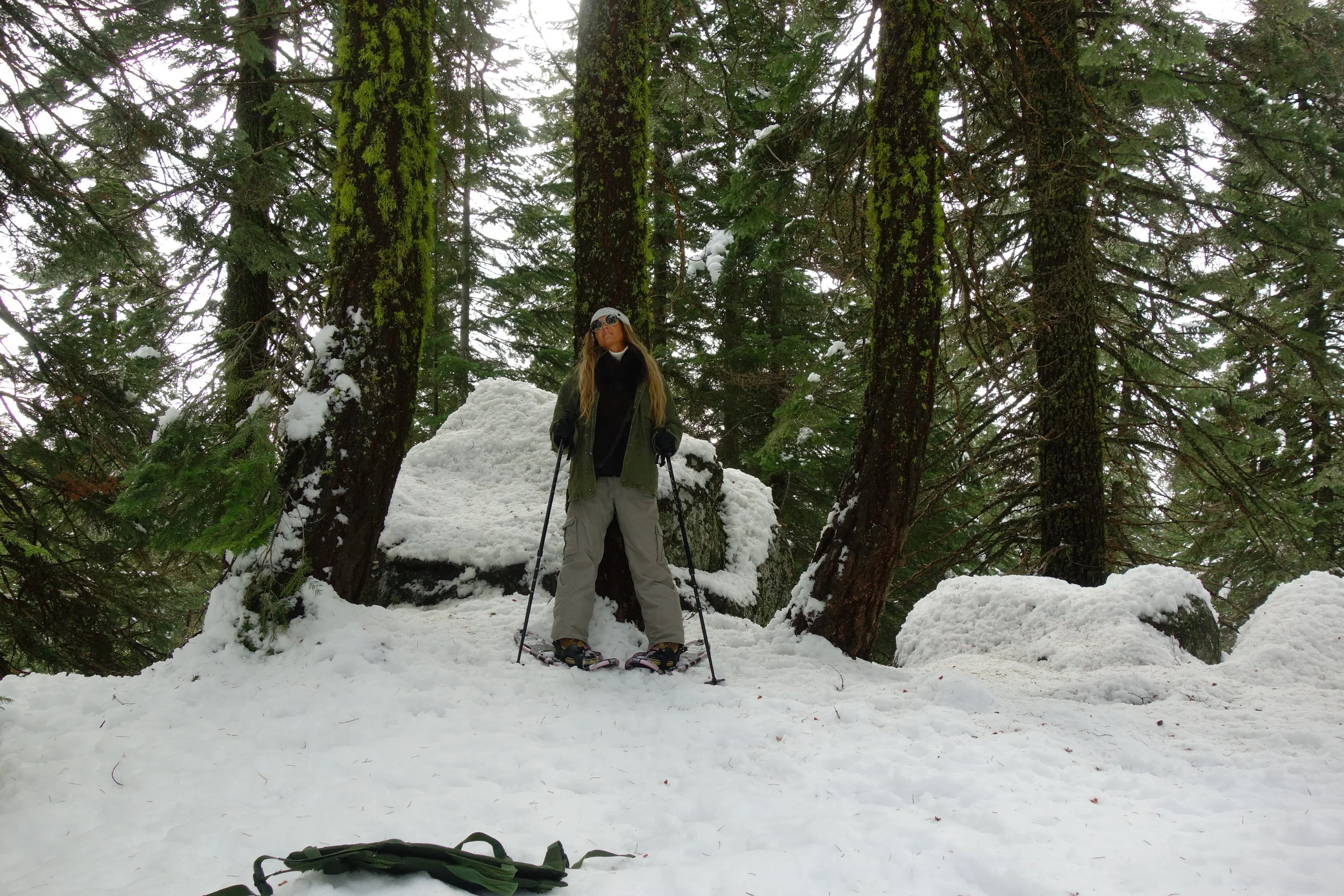 mt. Shasta Spiritual Tours 