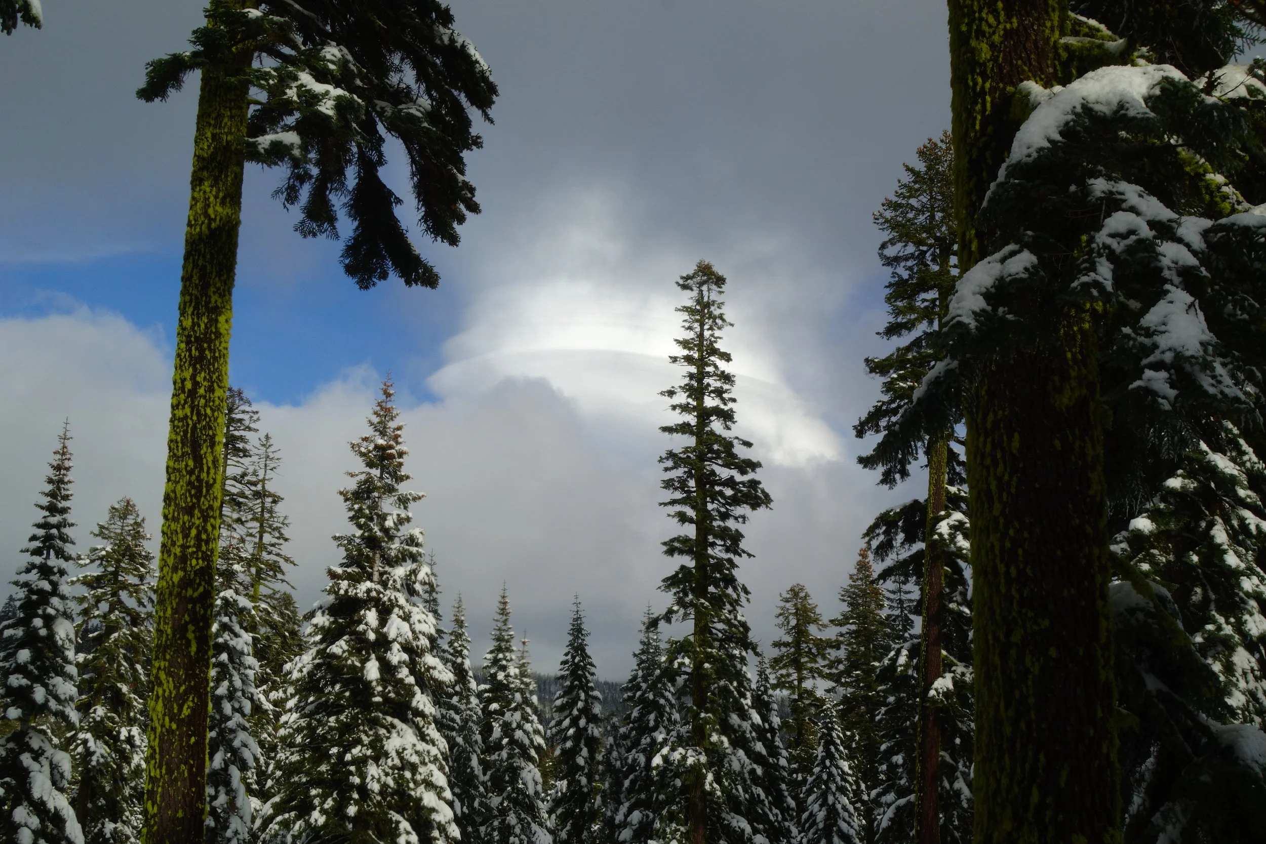 mt. Shasta Spiritual Tours 