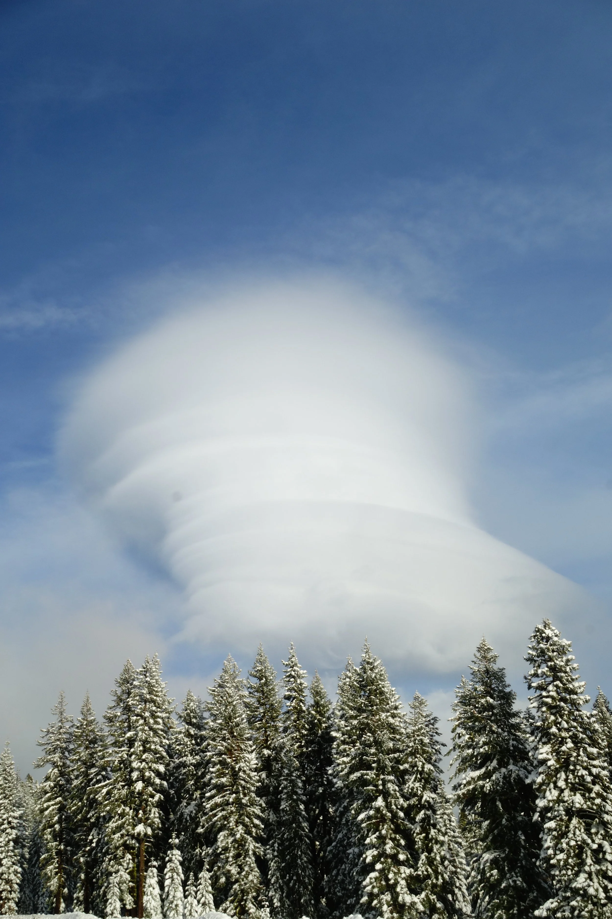 mt. Shasta Spiritual Tours 