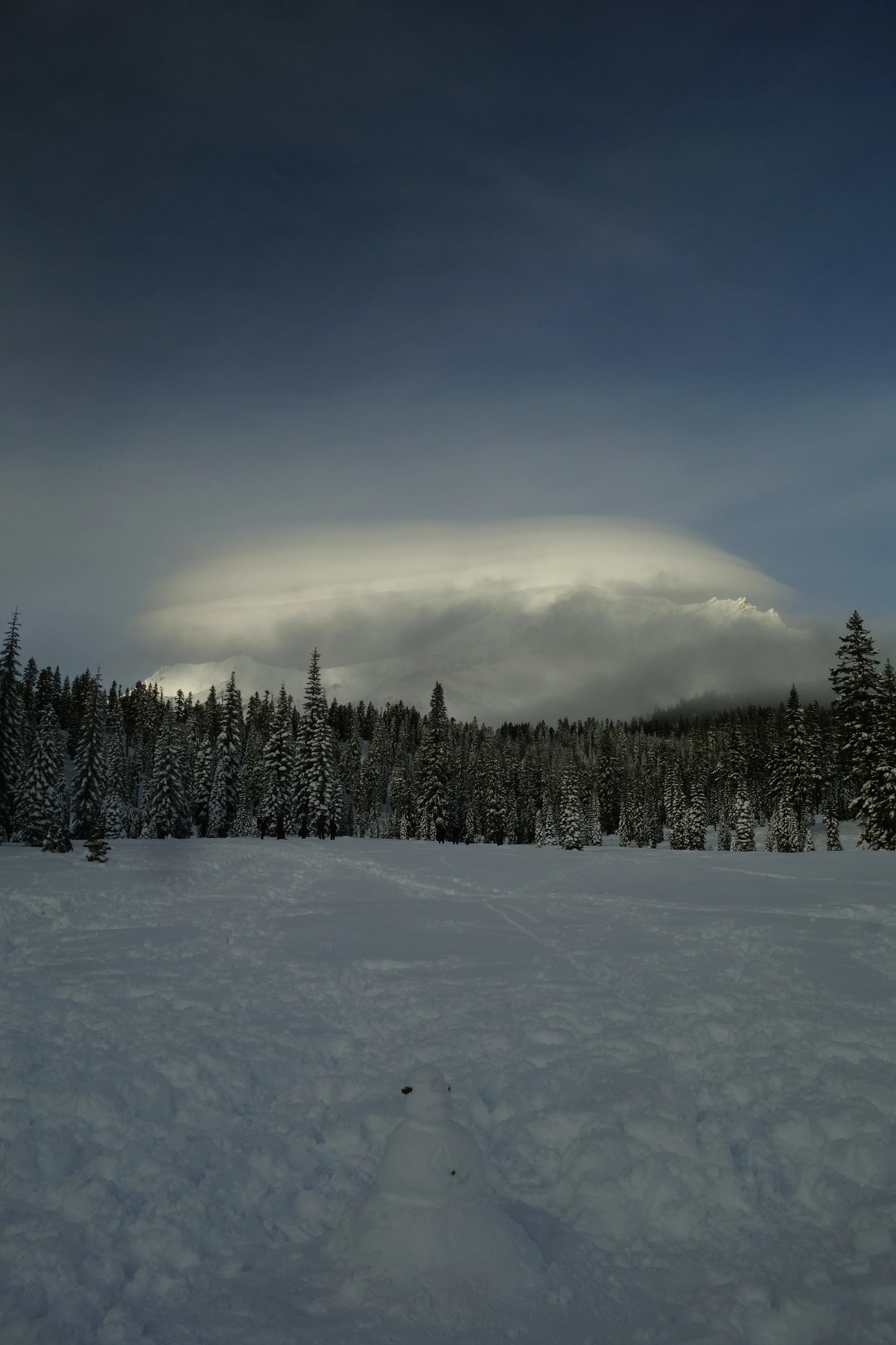 mt. Shasta Spiritual Tours Homepage