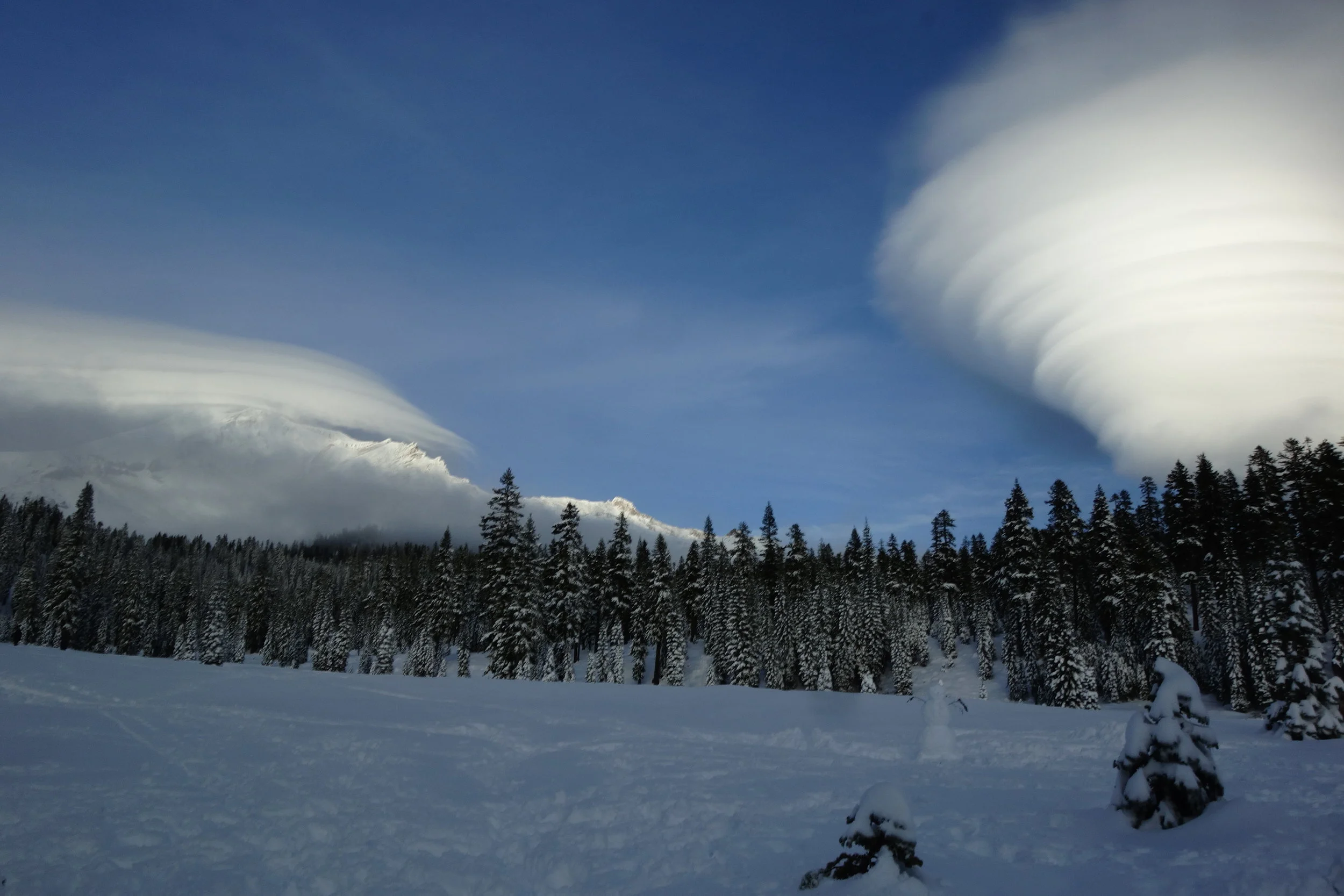 mt. Shasta Spiritual Tours Homepage