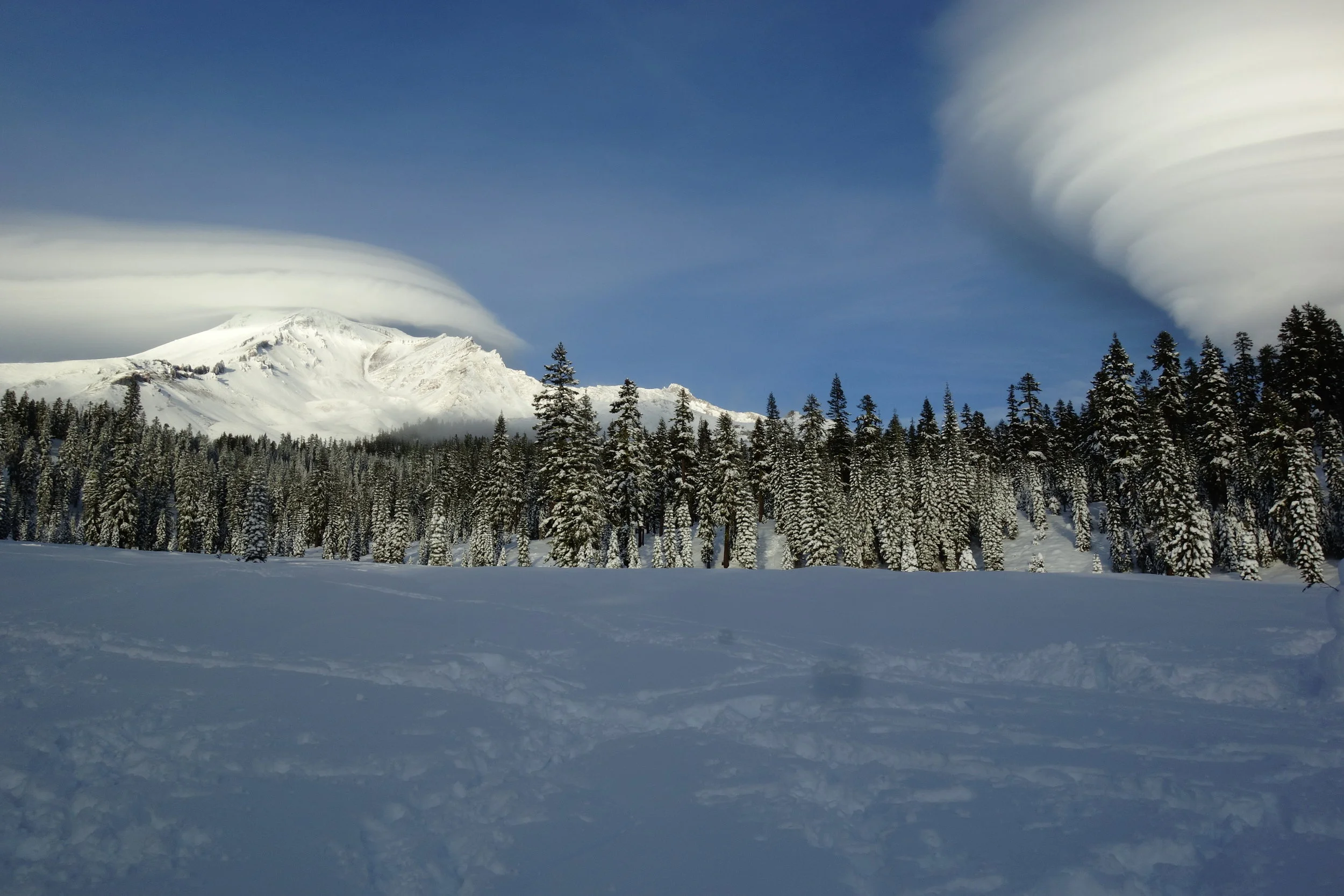 mt. Shasta Spiritual Tours 