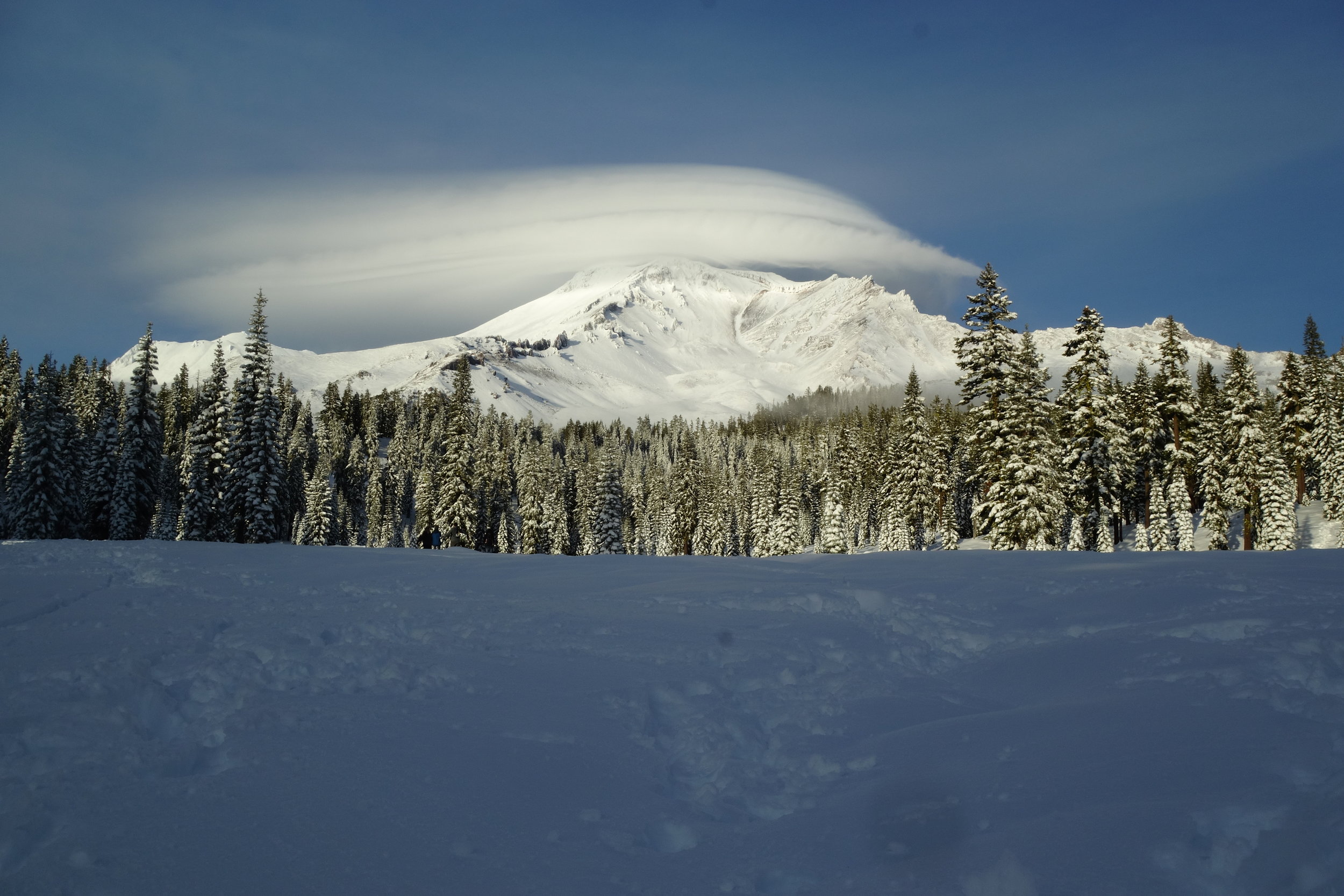 mt. Shasta Spiritual Tours 