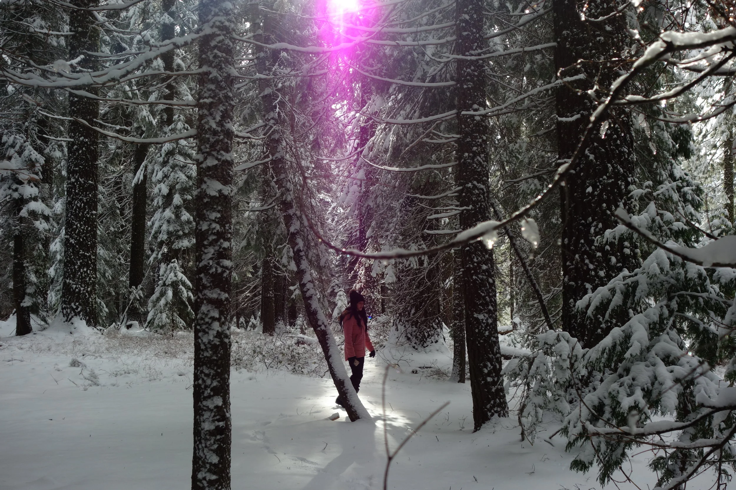 Mt. Shasta Spiritual Tours