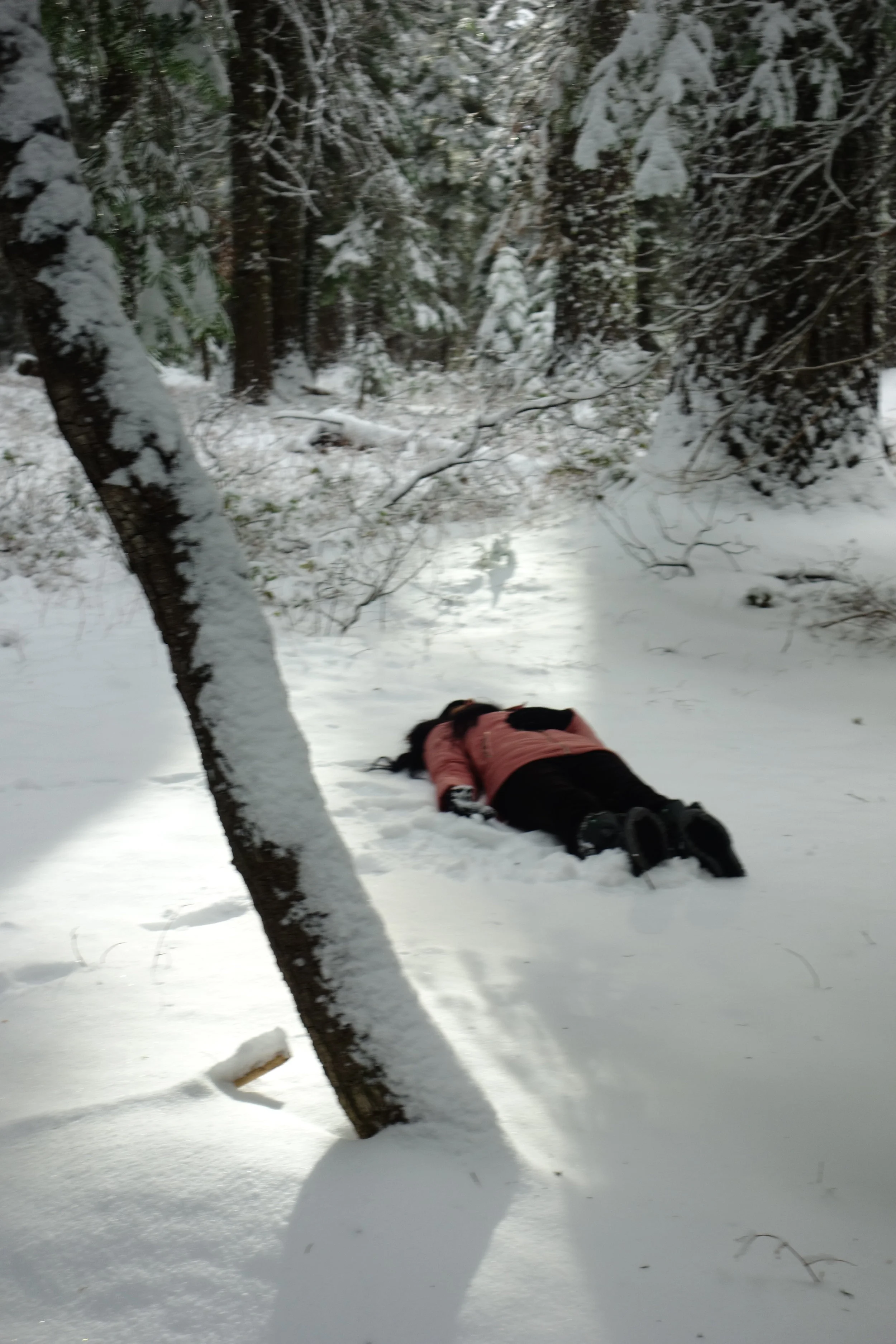 Mt. Shasta Spiritual Tours Homepage