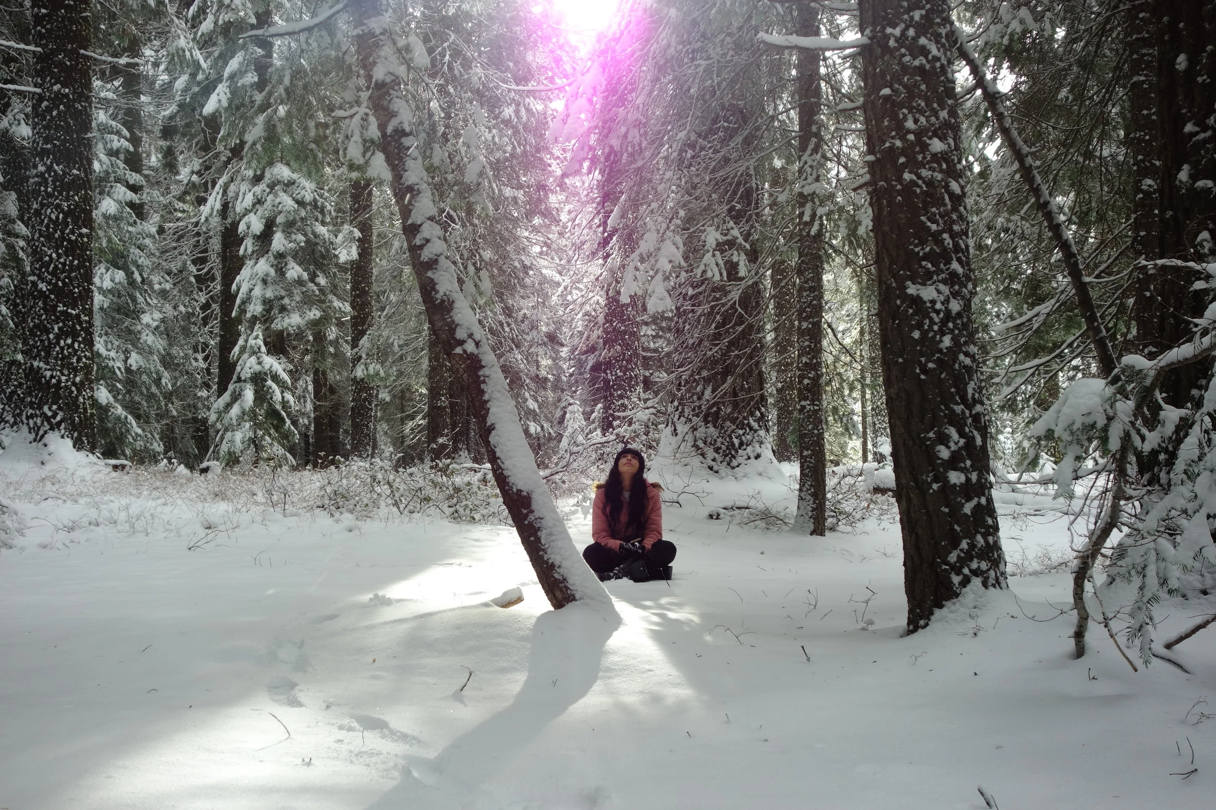 Mt. Shasta Spiritual Tours