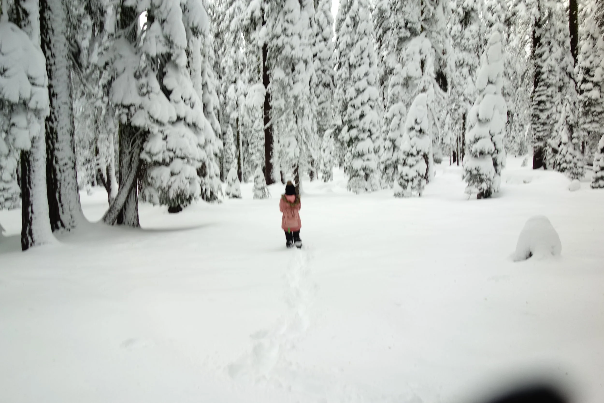 Mt. Shasta Spiritual Tours