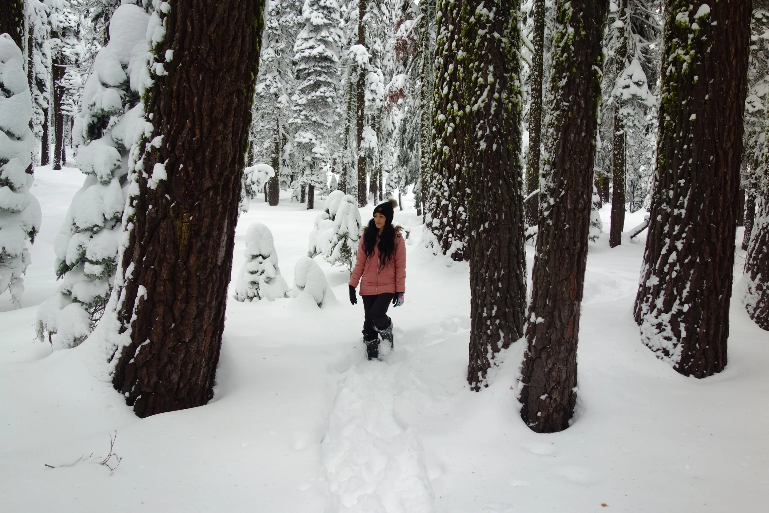 Mt. Shasta Spiritual Tours