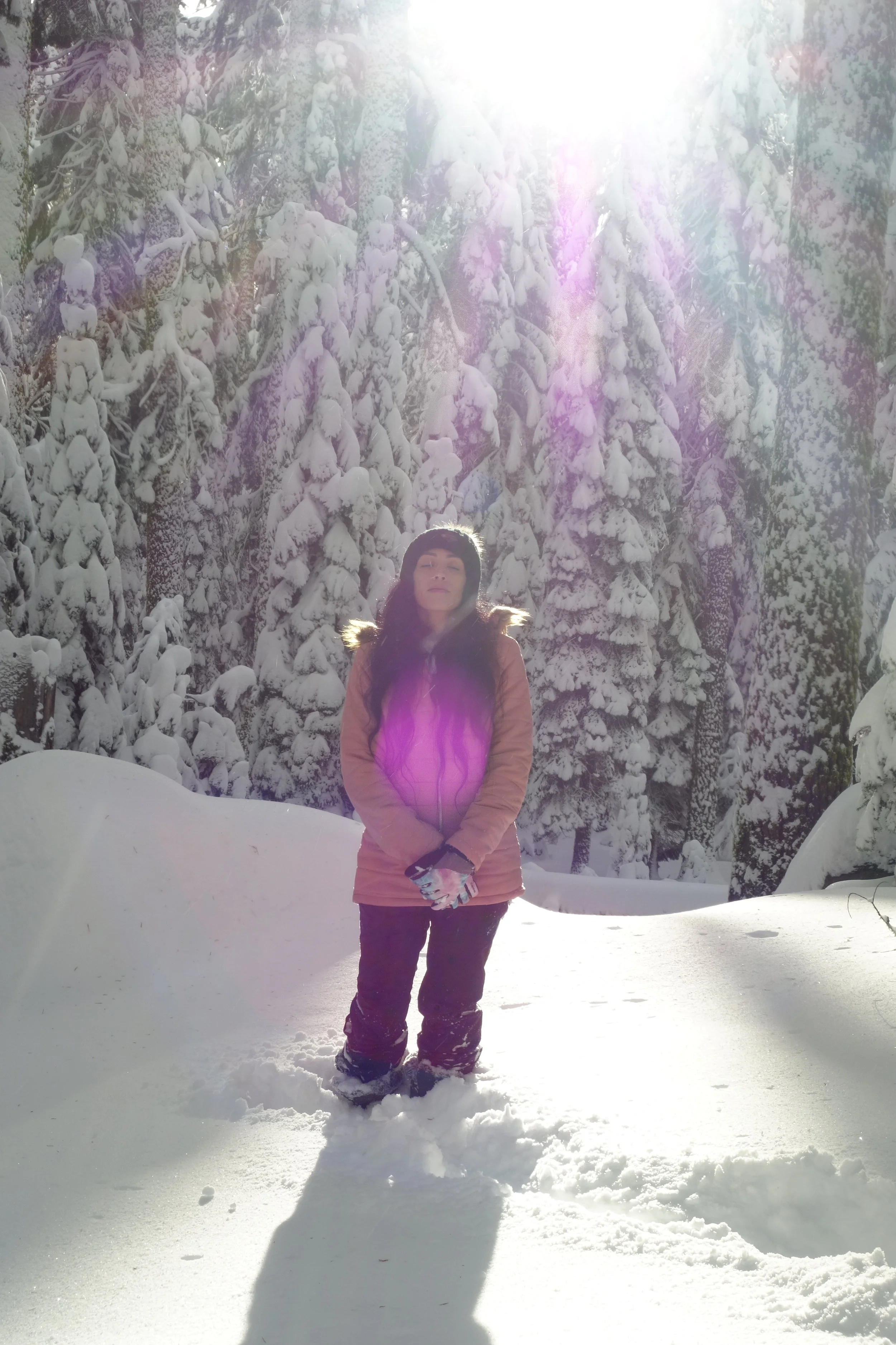 Mt. Shasta Spiritual Tours