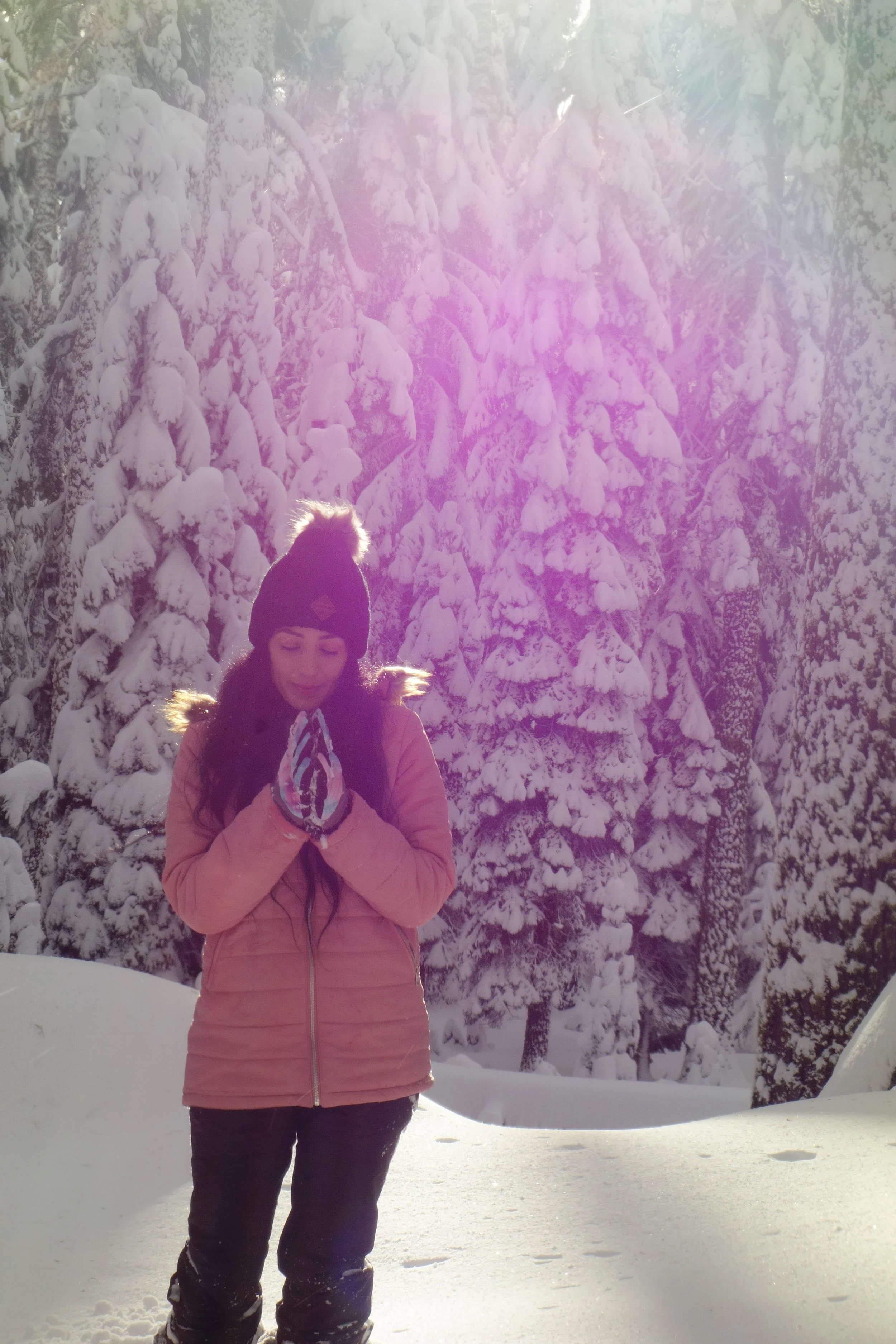 Mt. Shasta Spiritual Tours