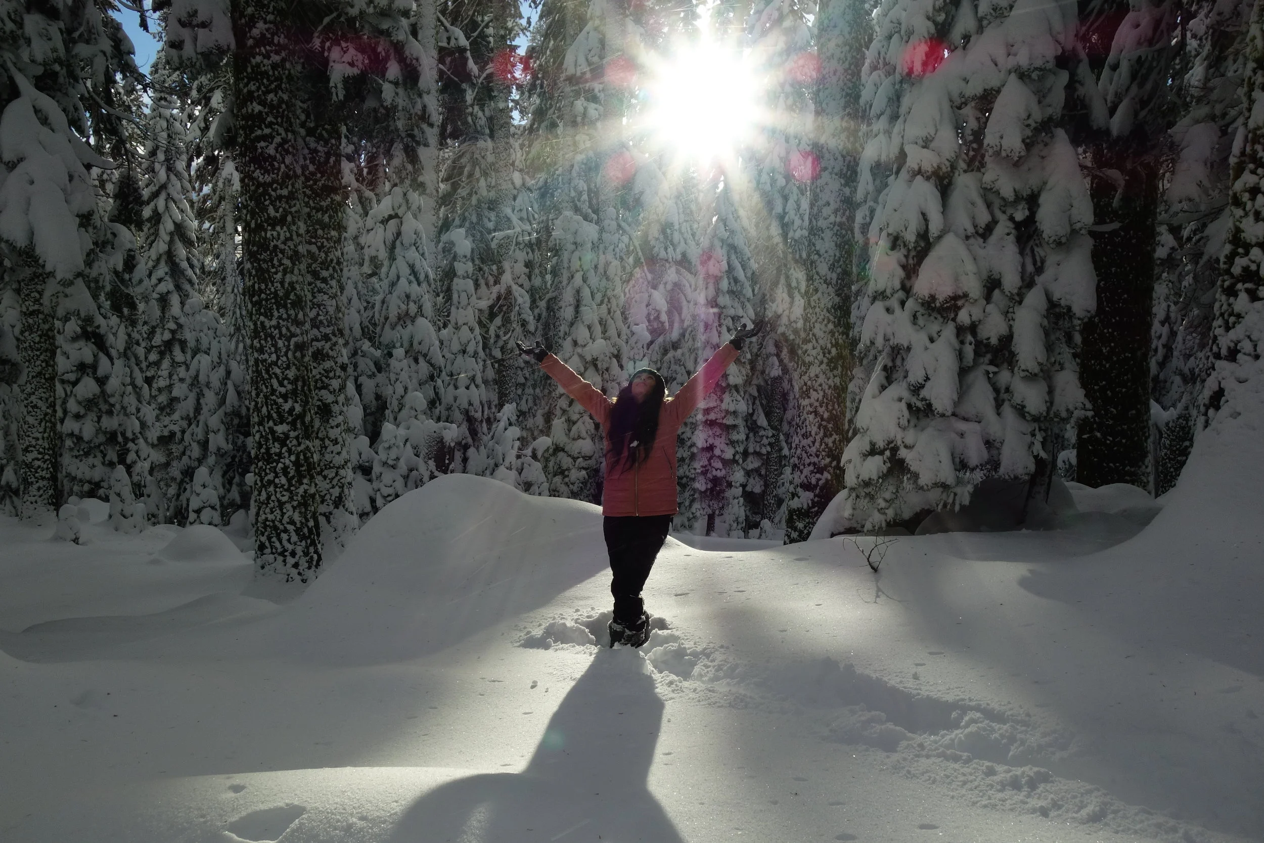 Mt. Shasta Spiritual Tours