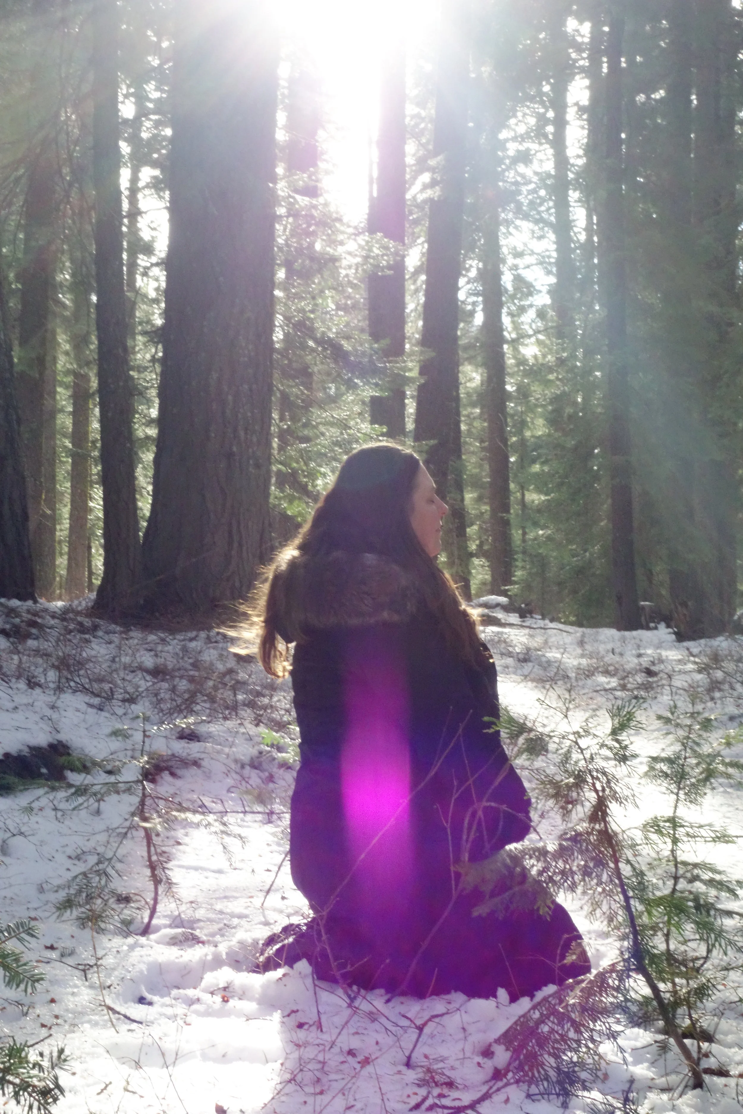 Mt. Shasta Spiritual Tours