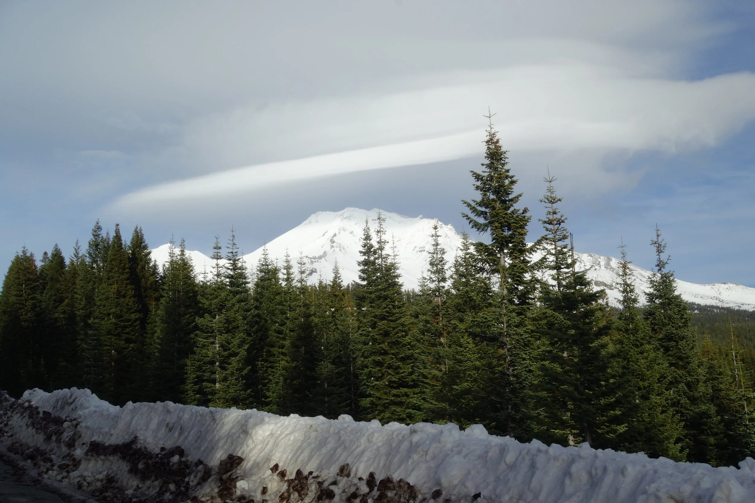 Mt. Shasta Spiritual Tours