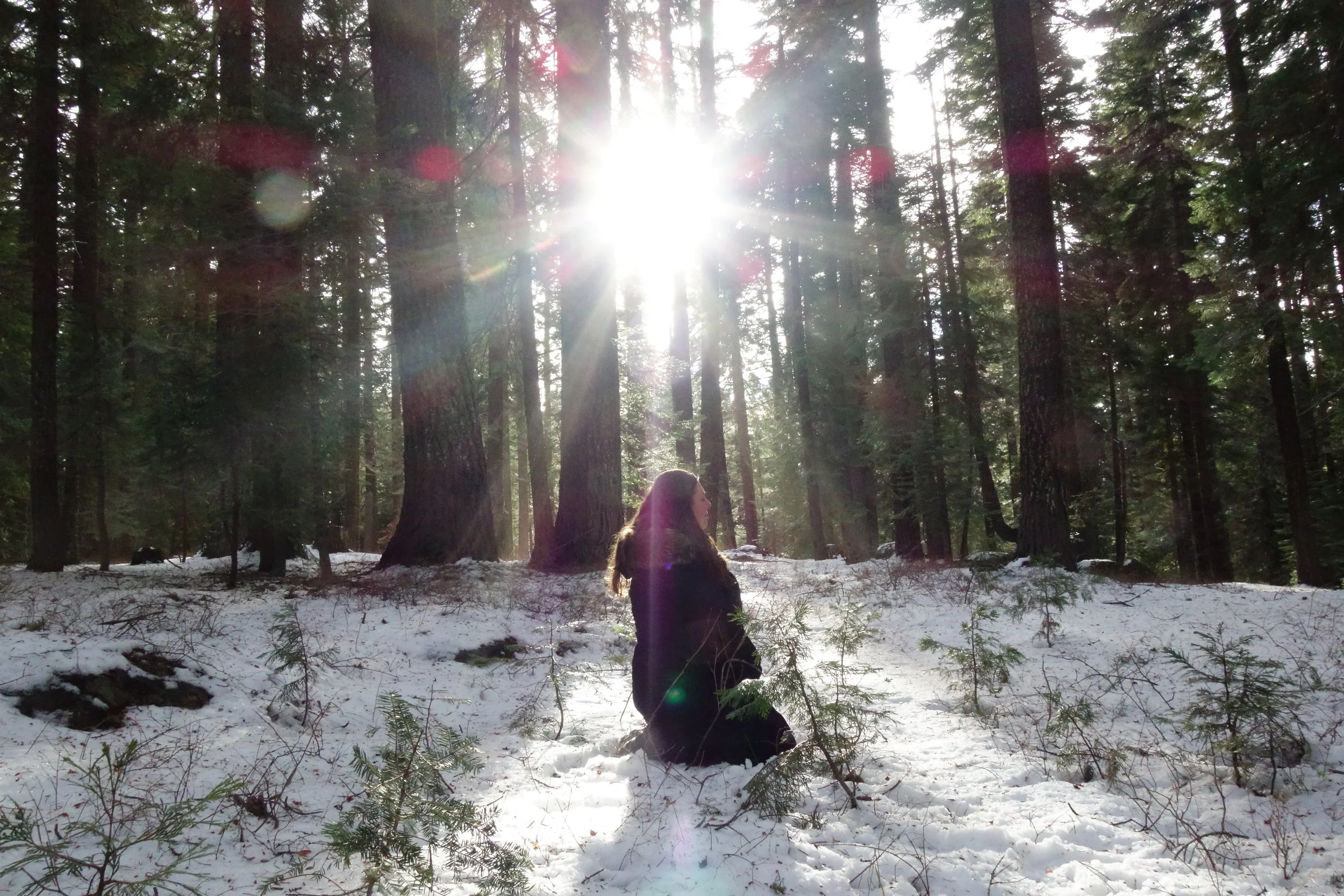 Mt. Shasta Spiritual Tours