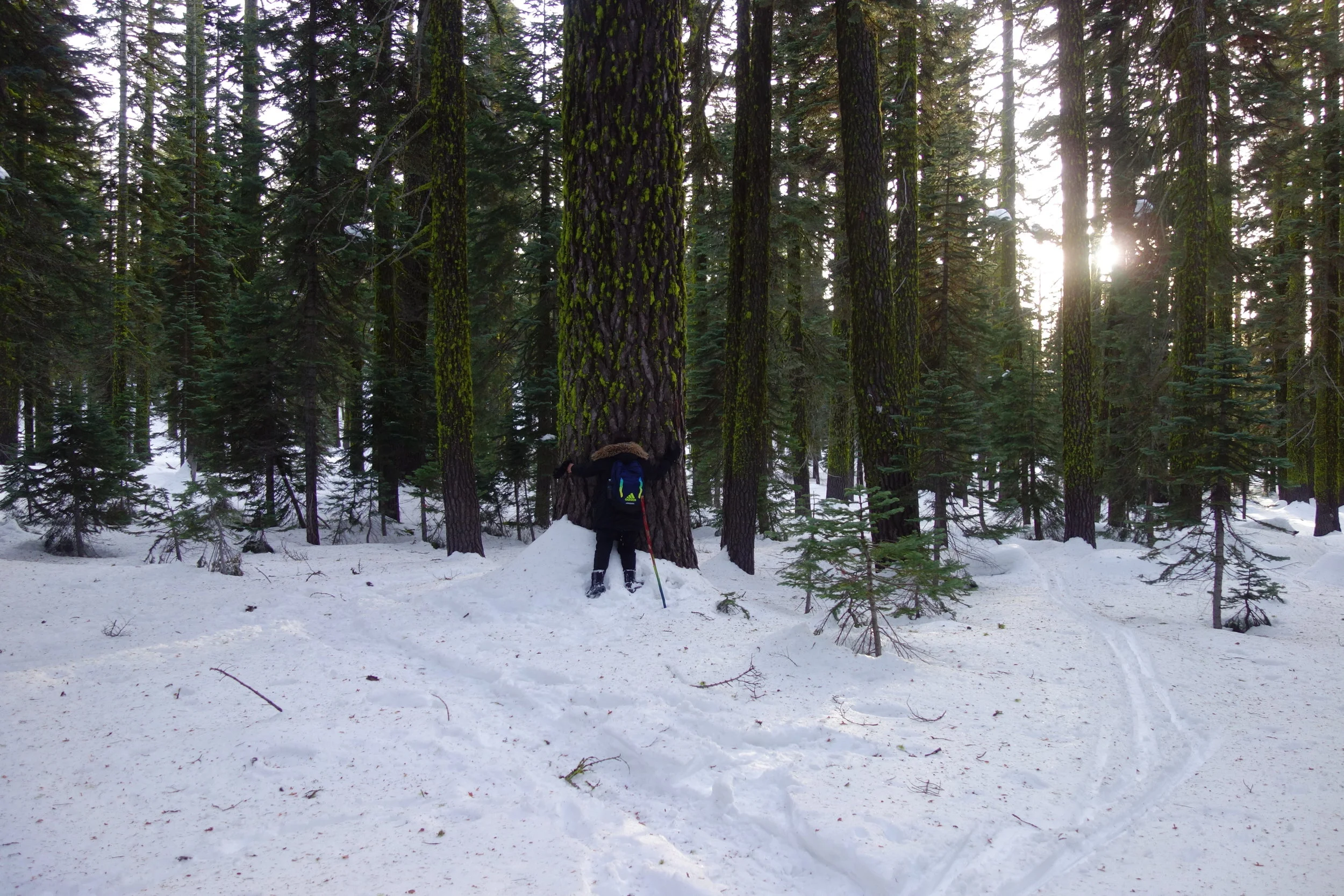 Mt. Shasta Spiritual Tours