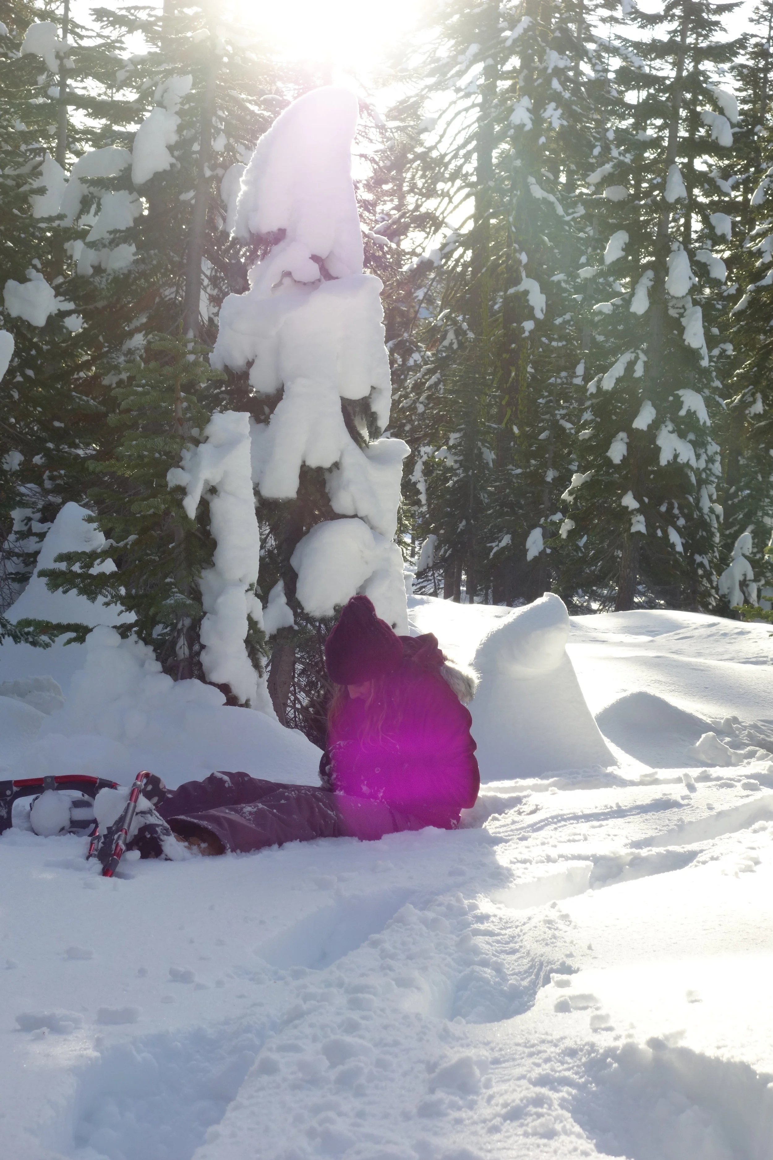 Mt. Shasta Spiritual Tours