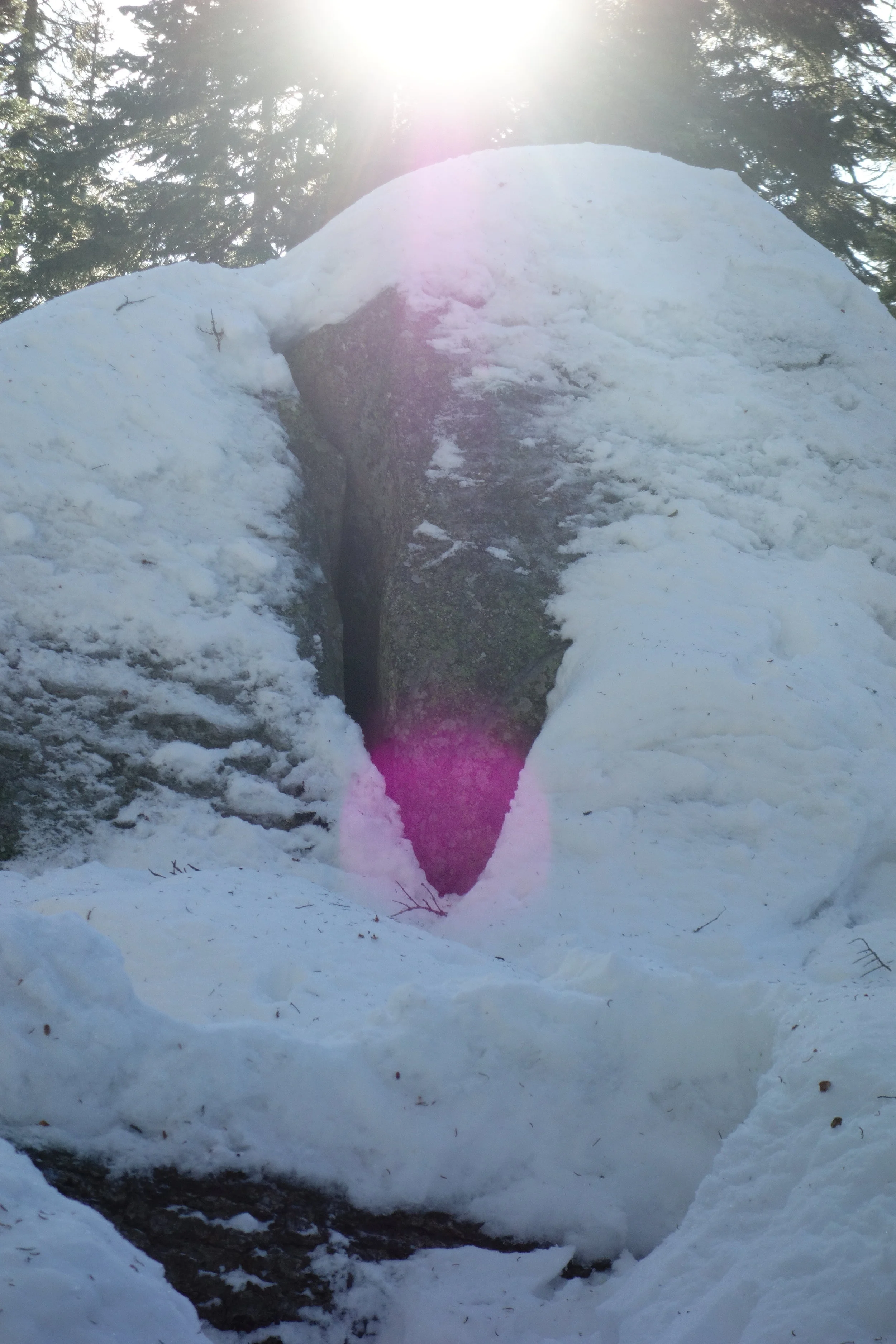 Mt. Shasta Spiritual Tours