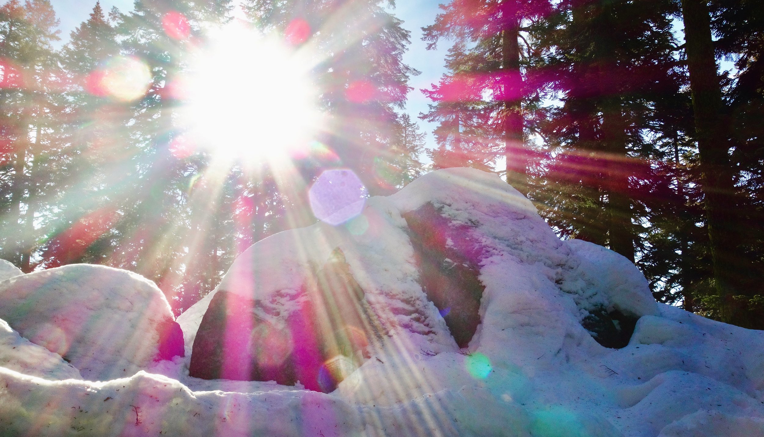 Mt. Shasta Spiritual Tours