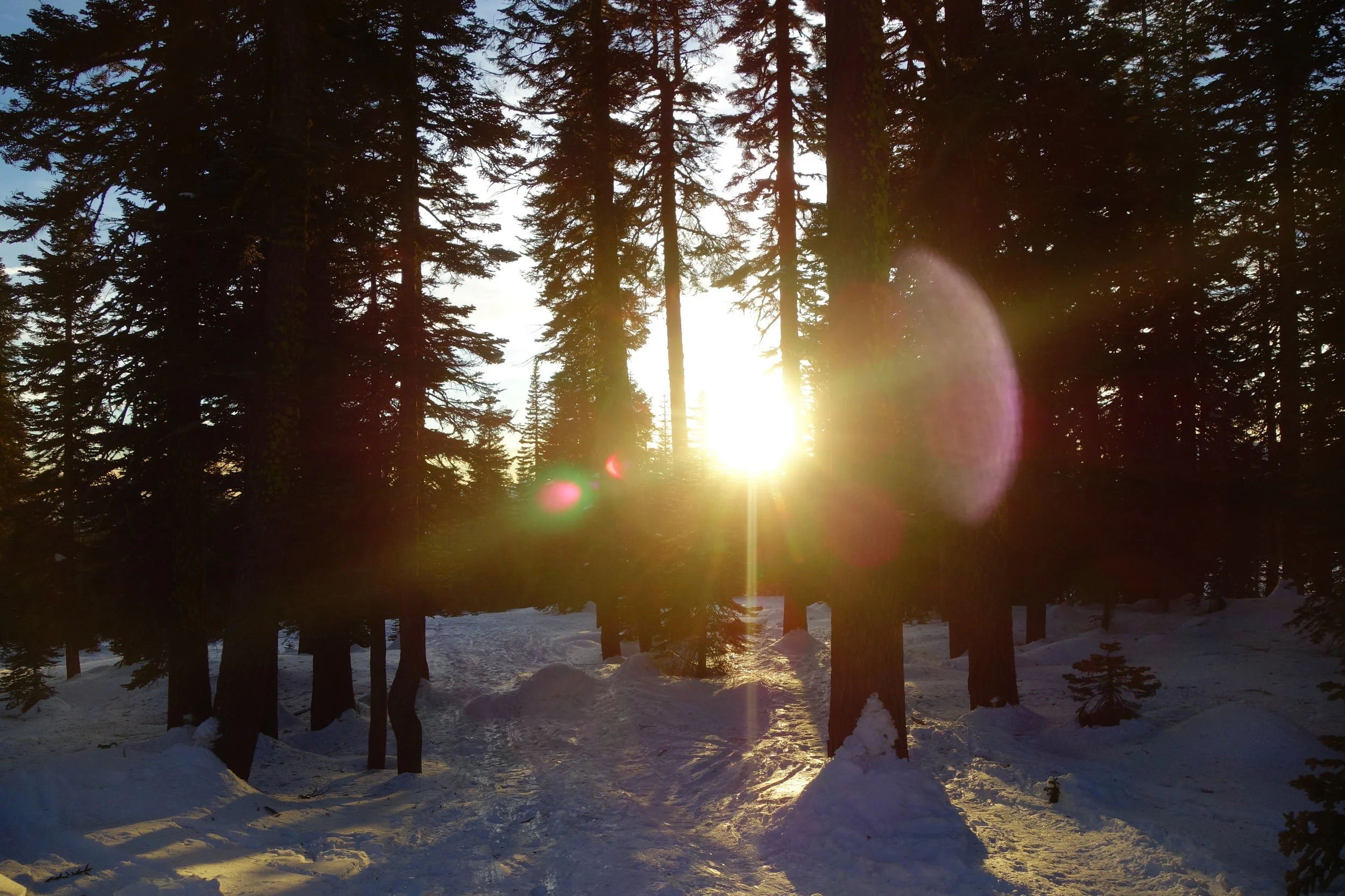 Mt. Shasta Spiritual Tours