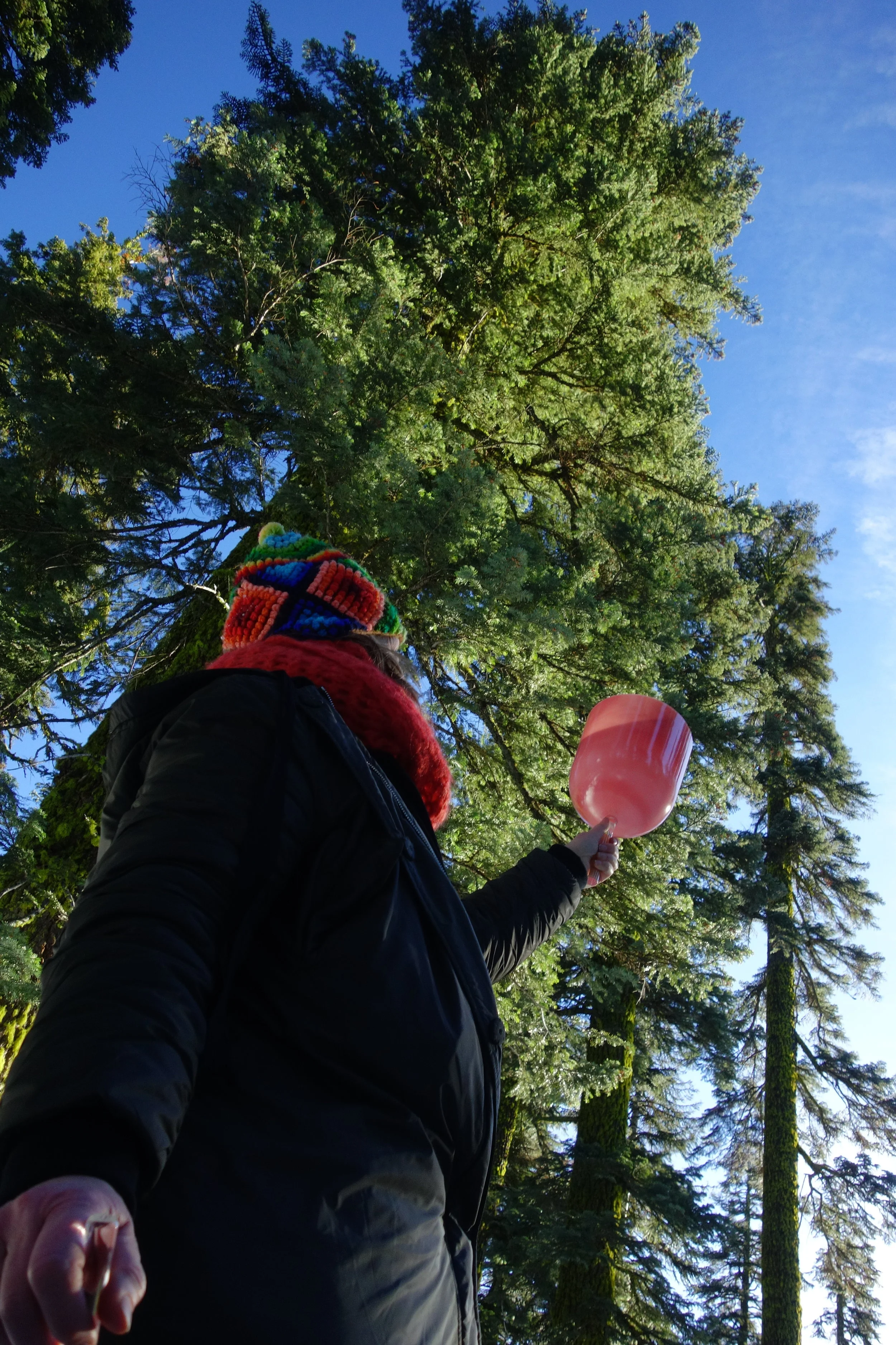 Mt. Shasta Spiritual Tours