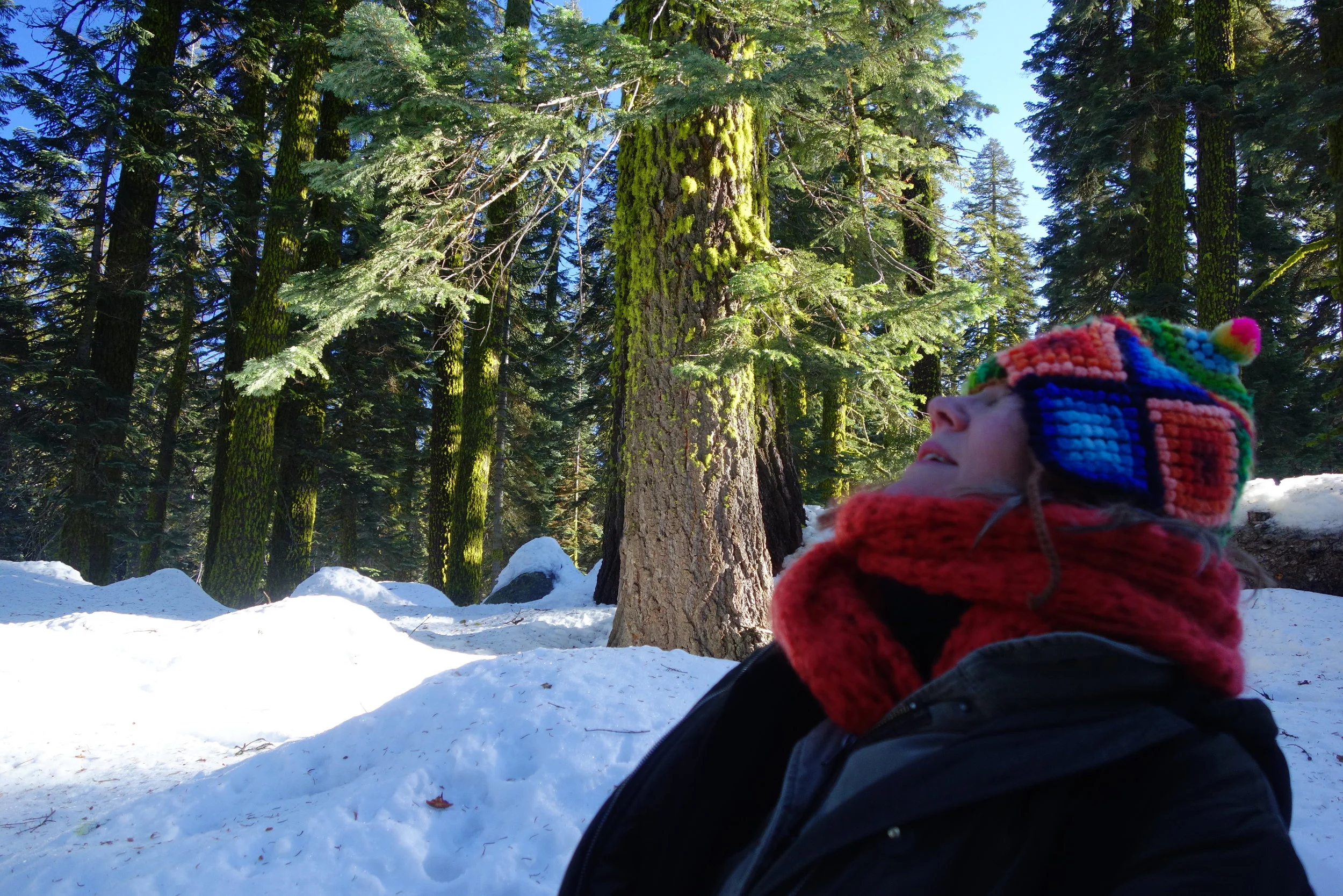 Mt. Shasta Spiritual Tours