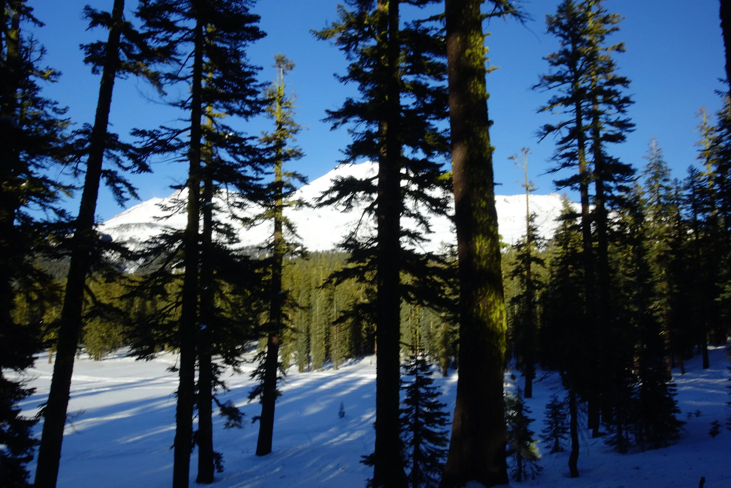 Mt. Shasta Spiritual Tours 