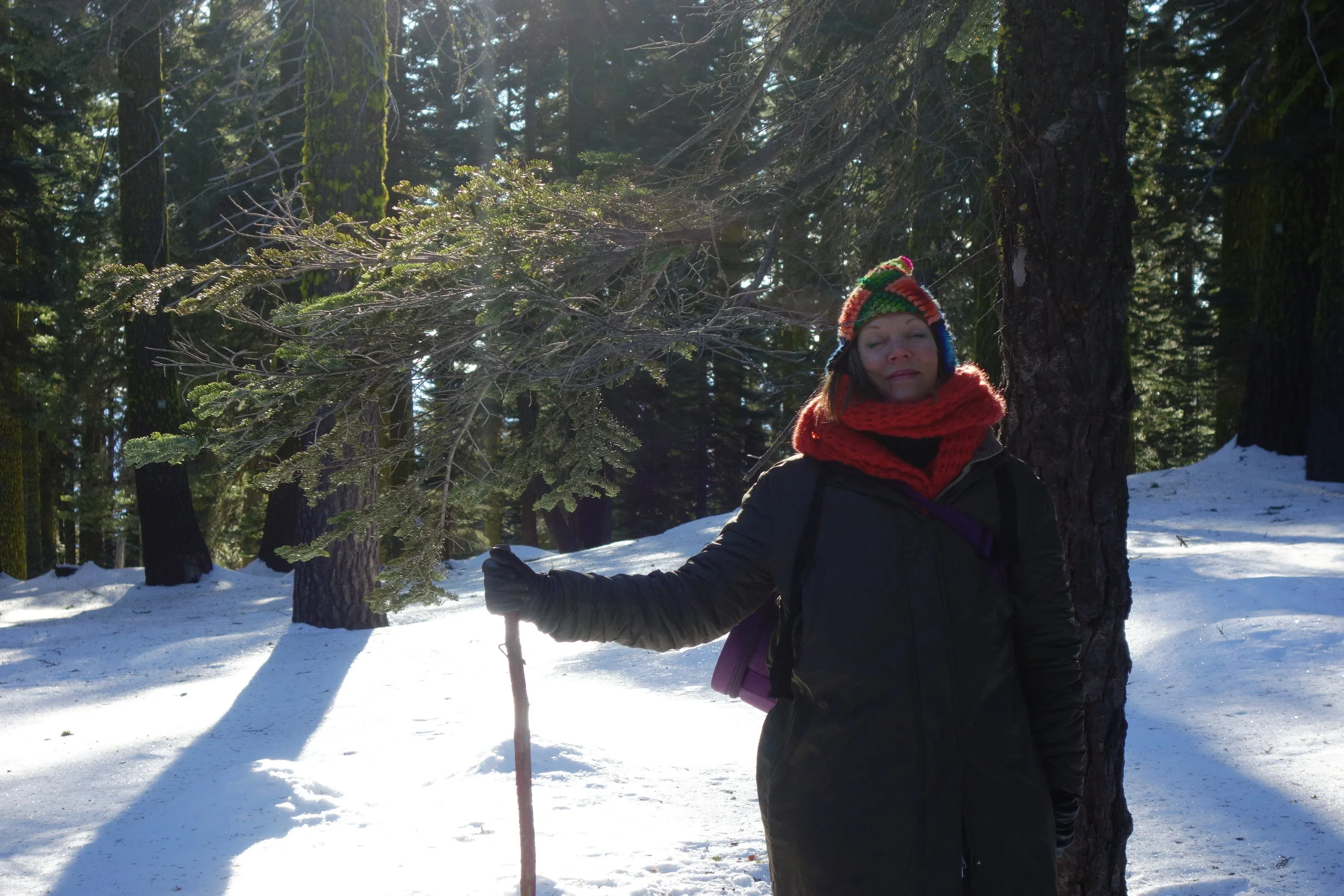 Mt. Shasta Spiritual Tours