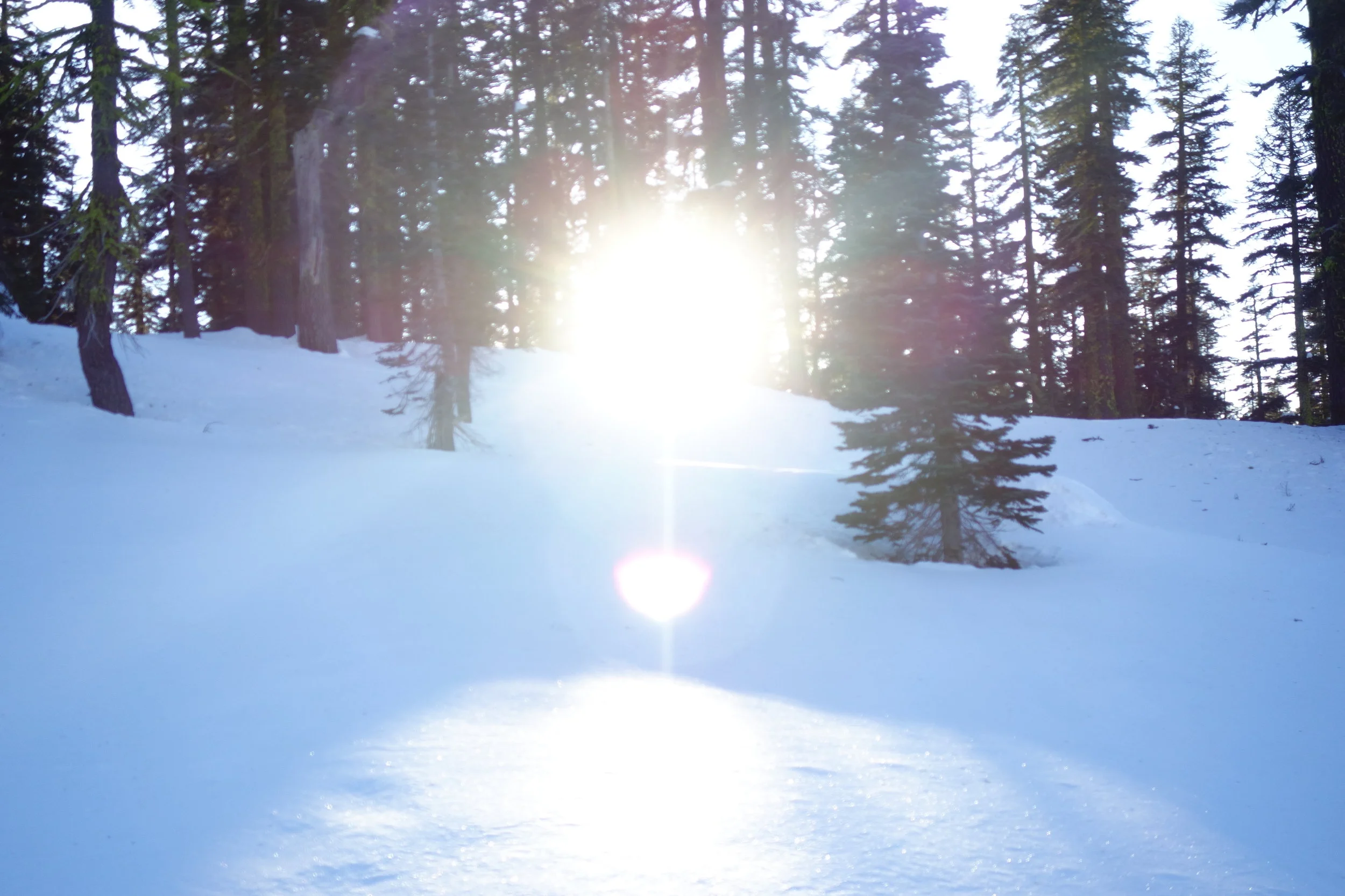 Mt. Shasta Spiritual Tours