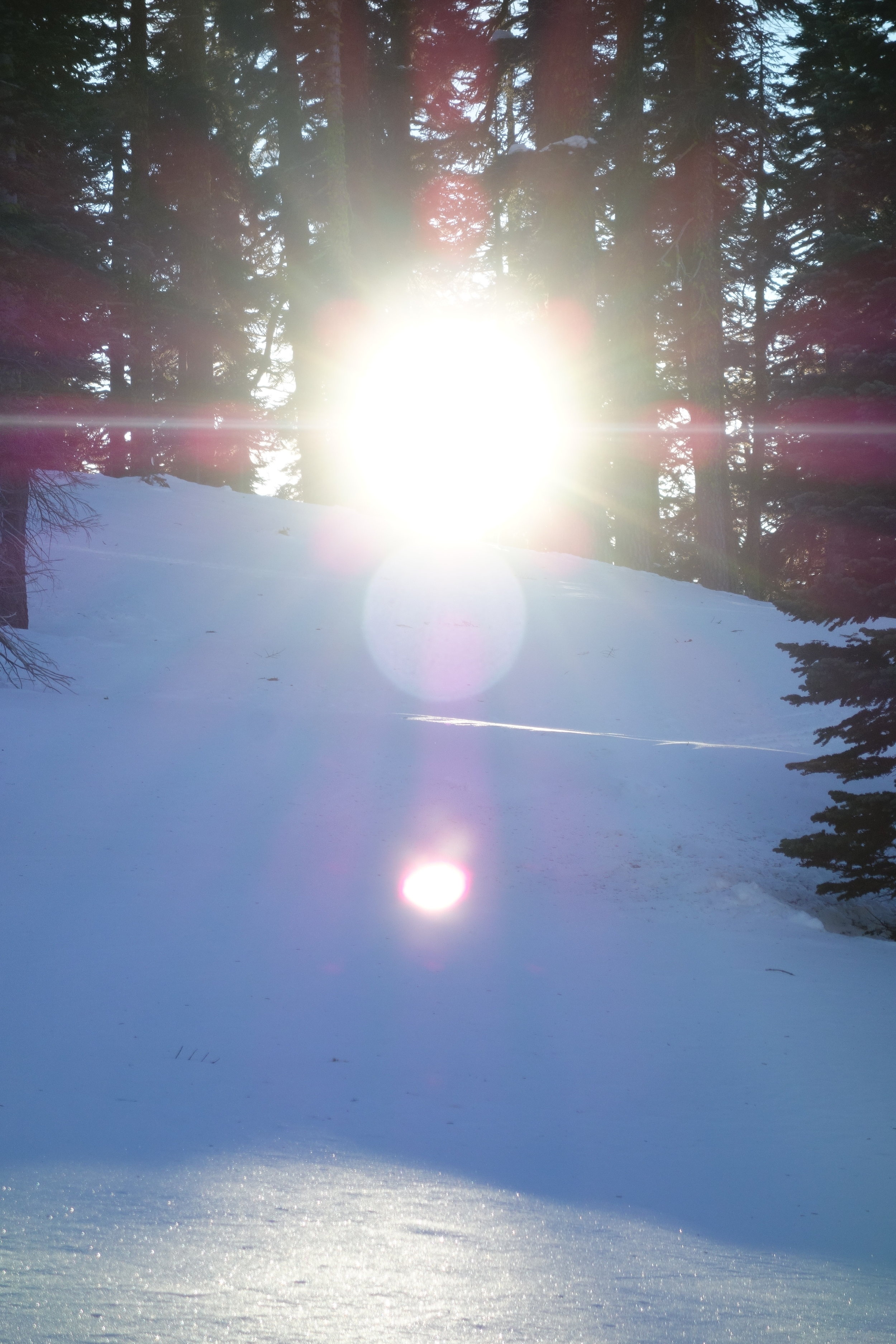 Mt. Shasta Spiritual Tours