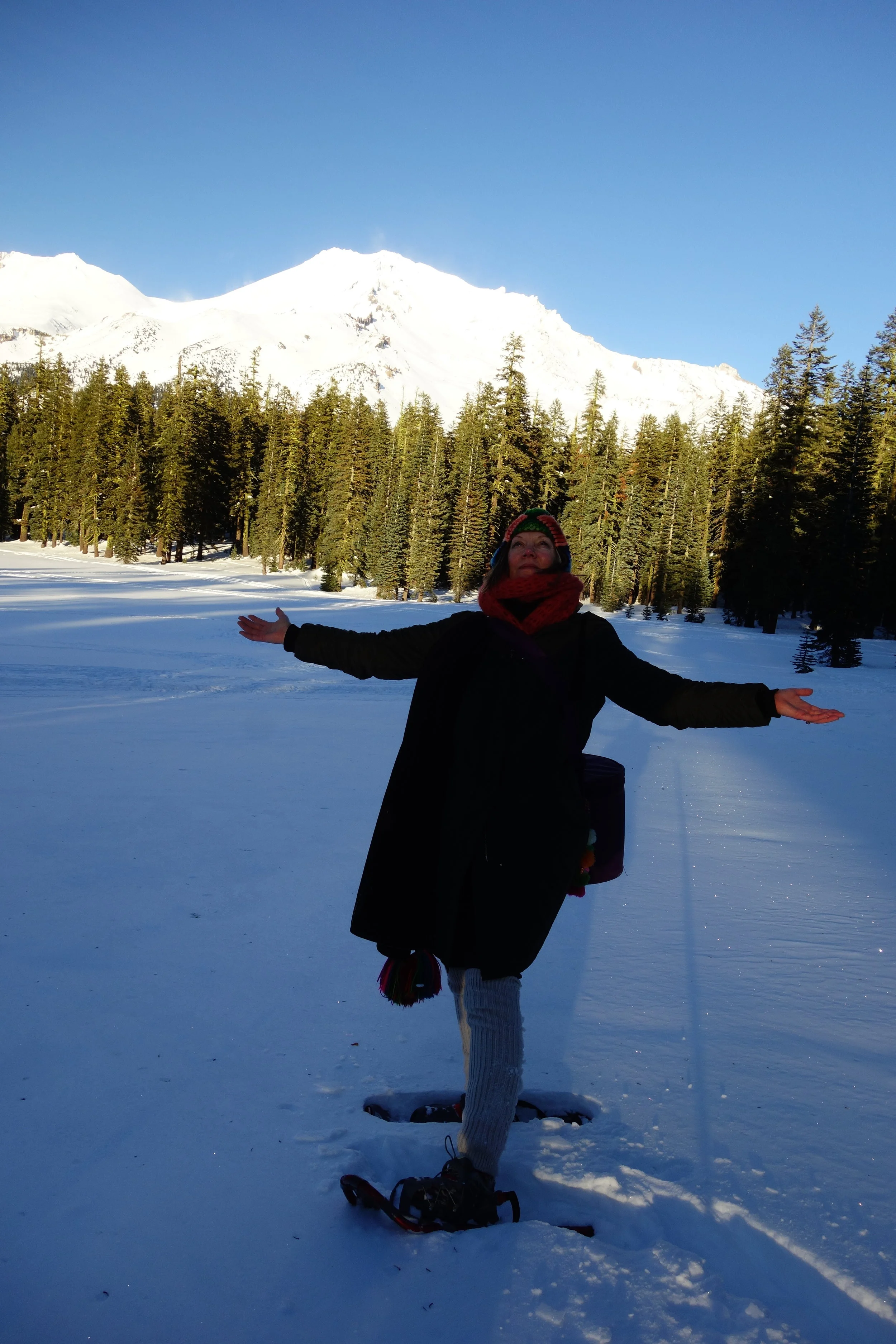 Mt. Shasta Spiritual Tours