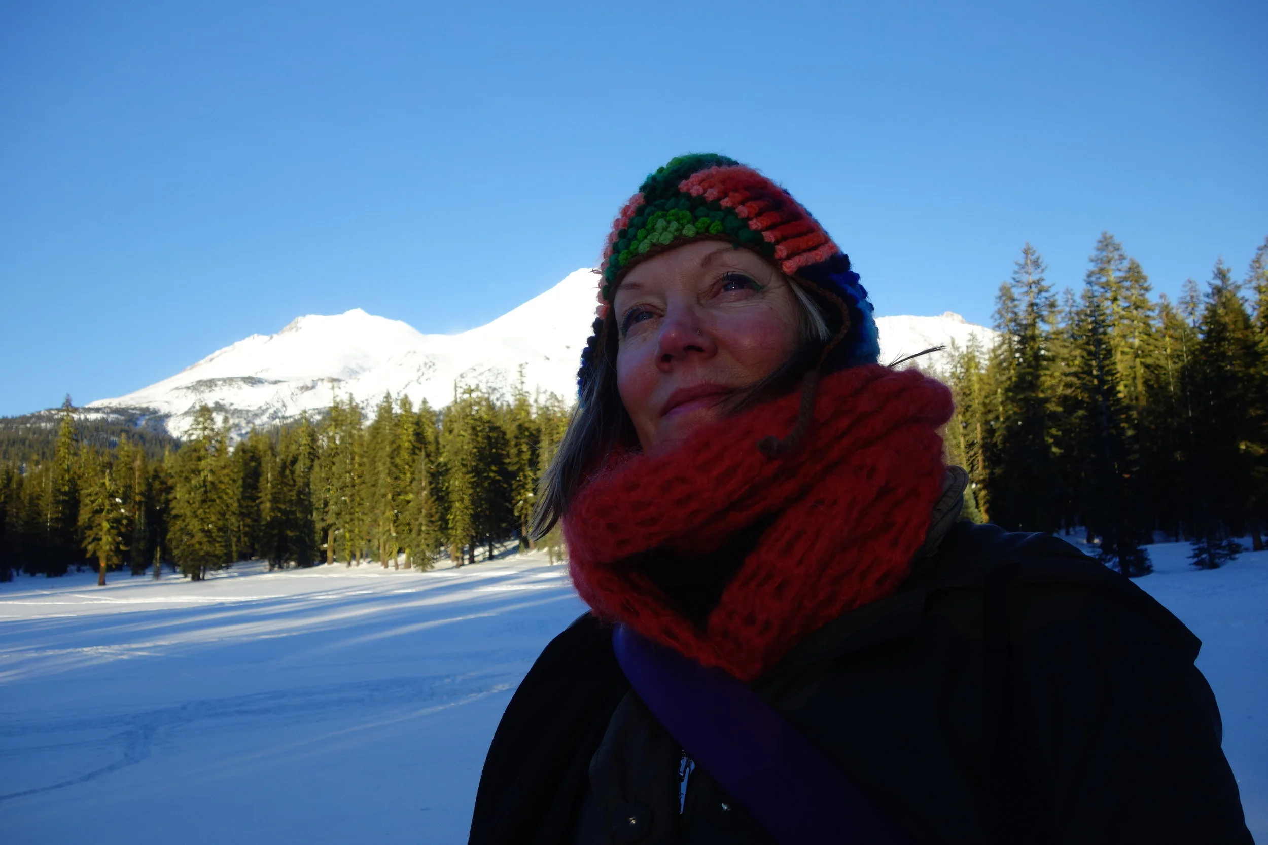 Mt. Shasta Spiritual Tours