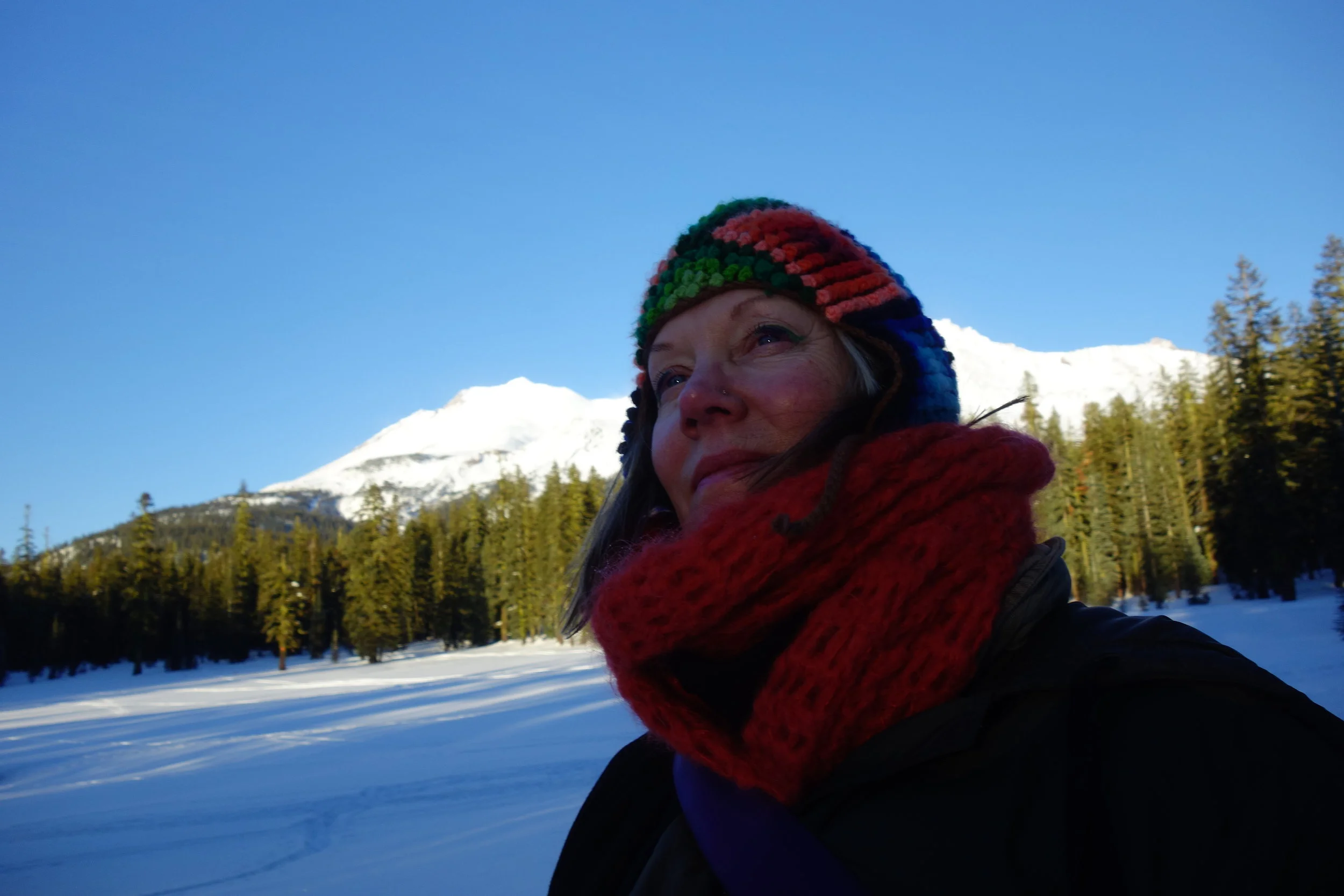 Mt. Shasta Spiritual Tours