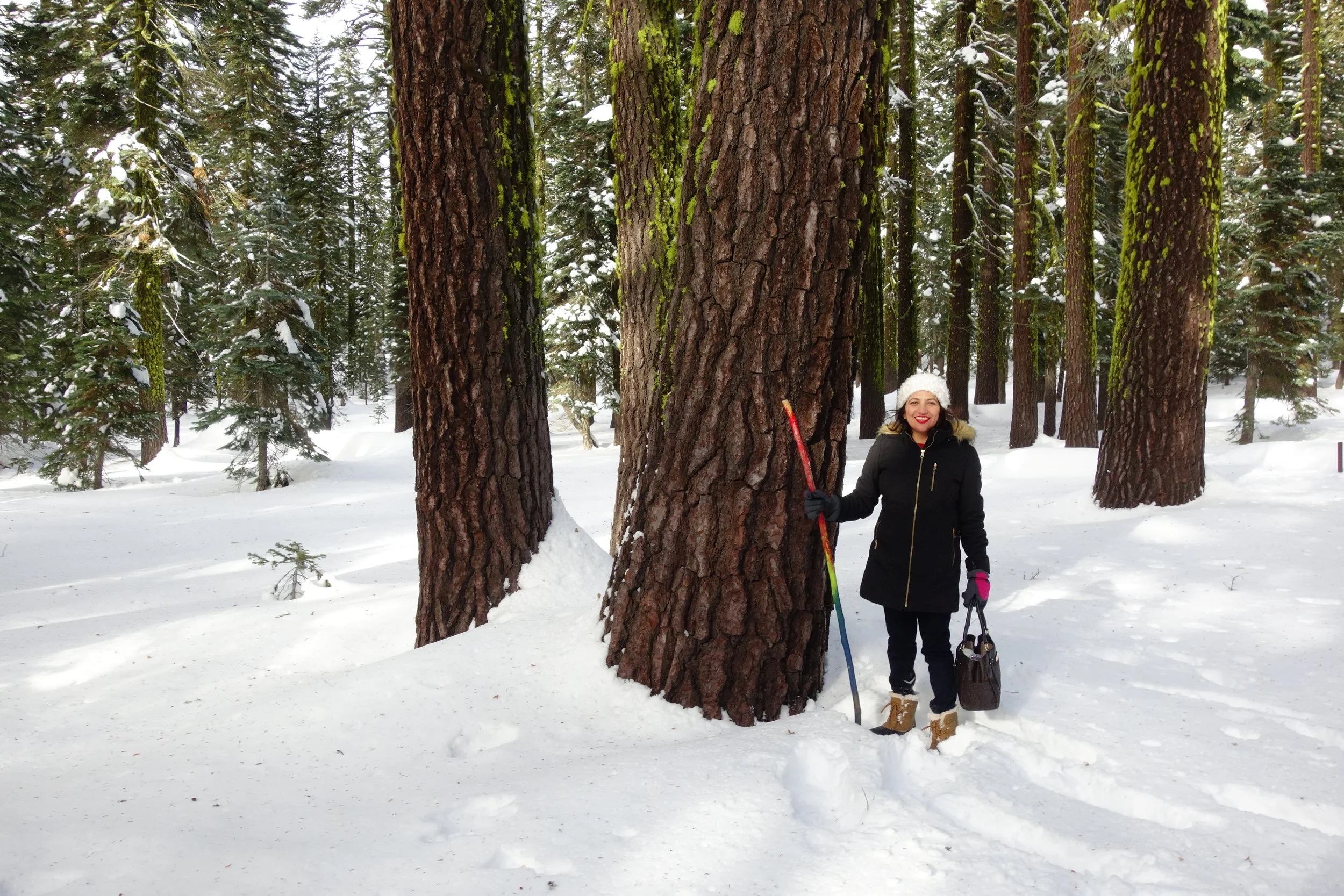 Mt. Shasta Spiritual Tours