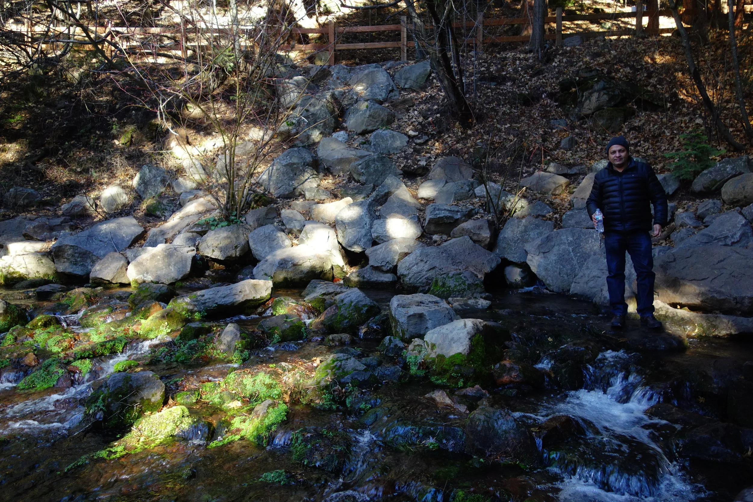 Mt. Shasta Spiritual Tours