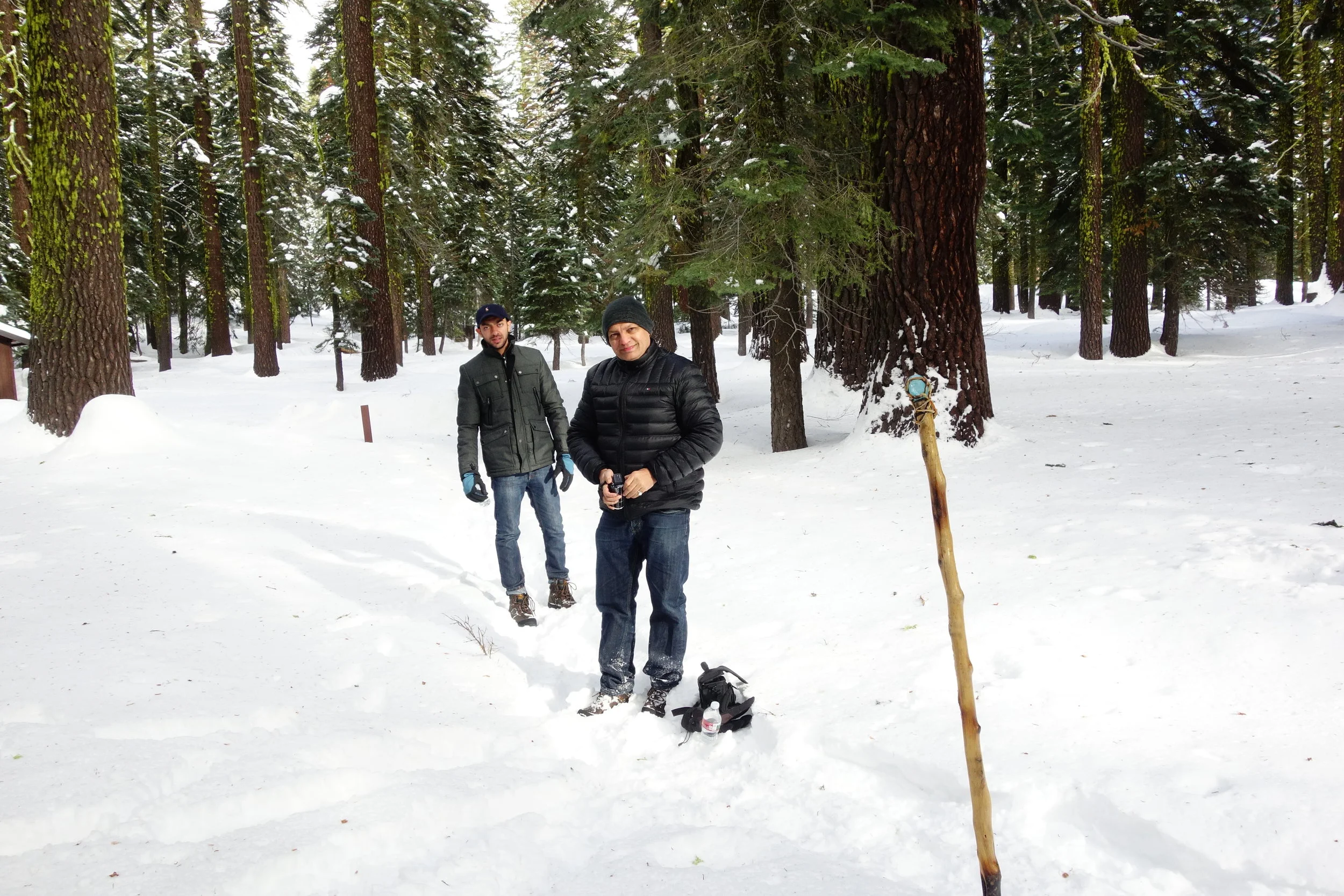 Mt. Shasta Spiritual Tours