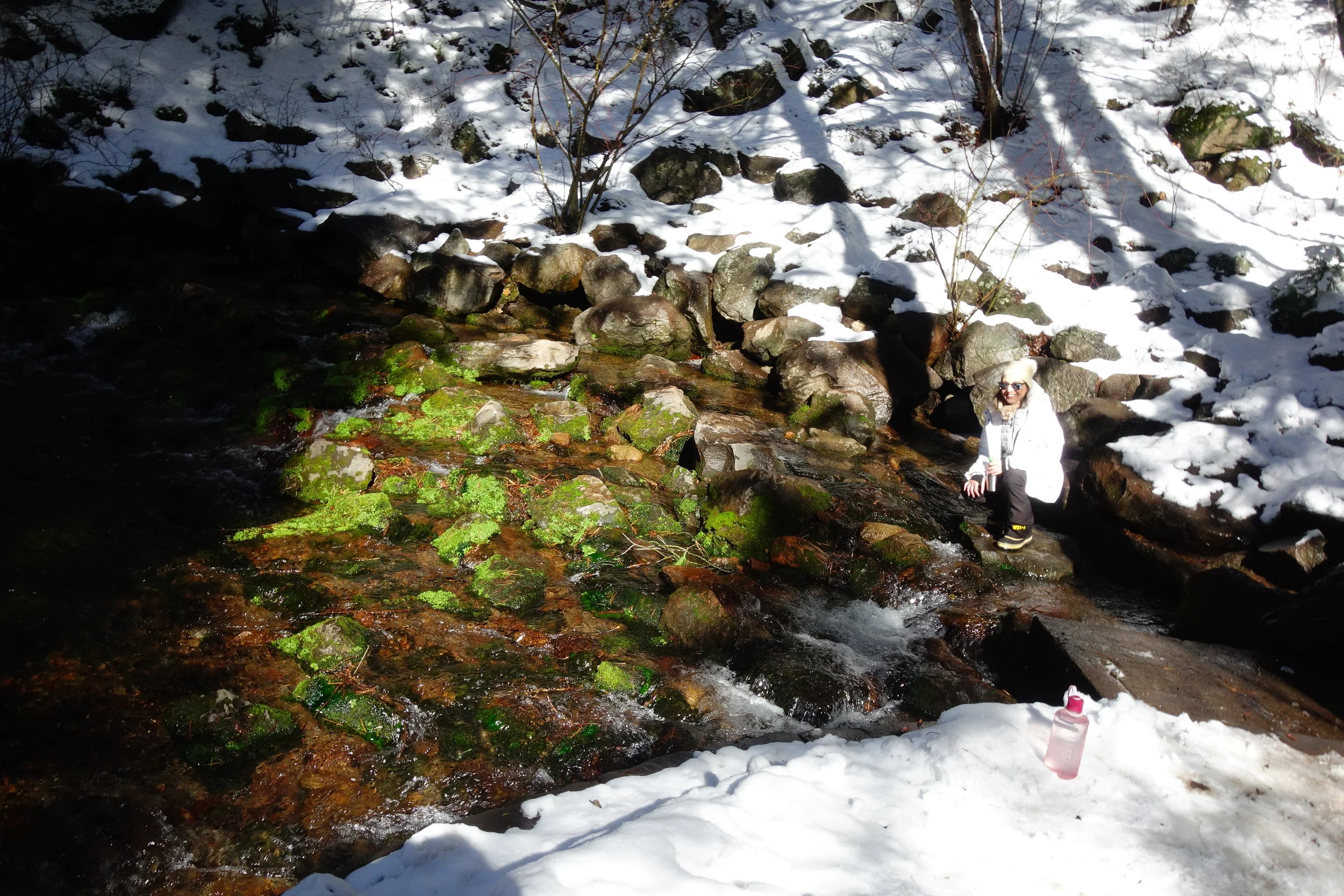 Mt. Shasta Spiritual Tours