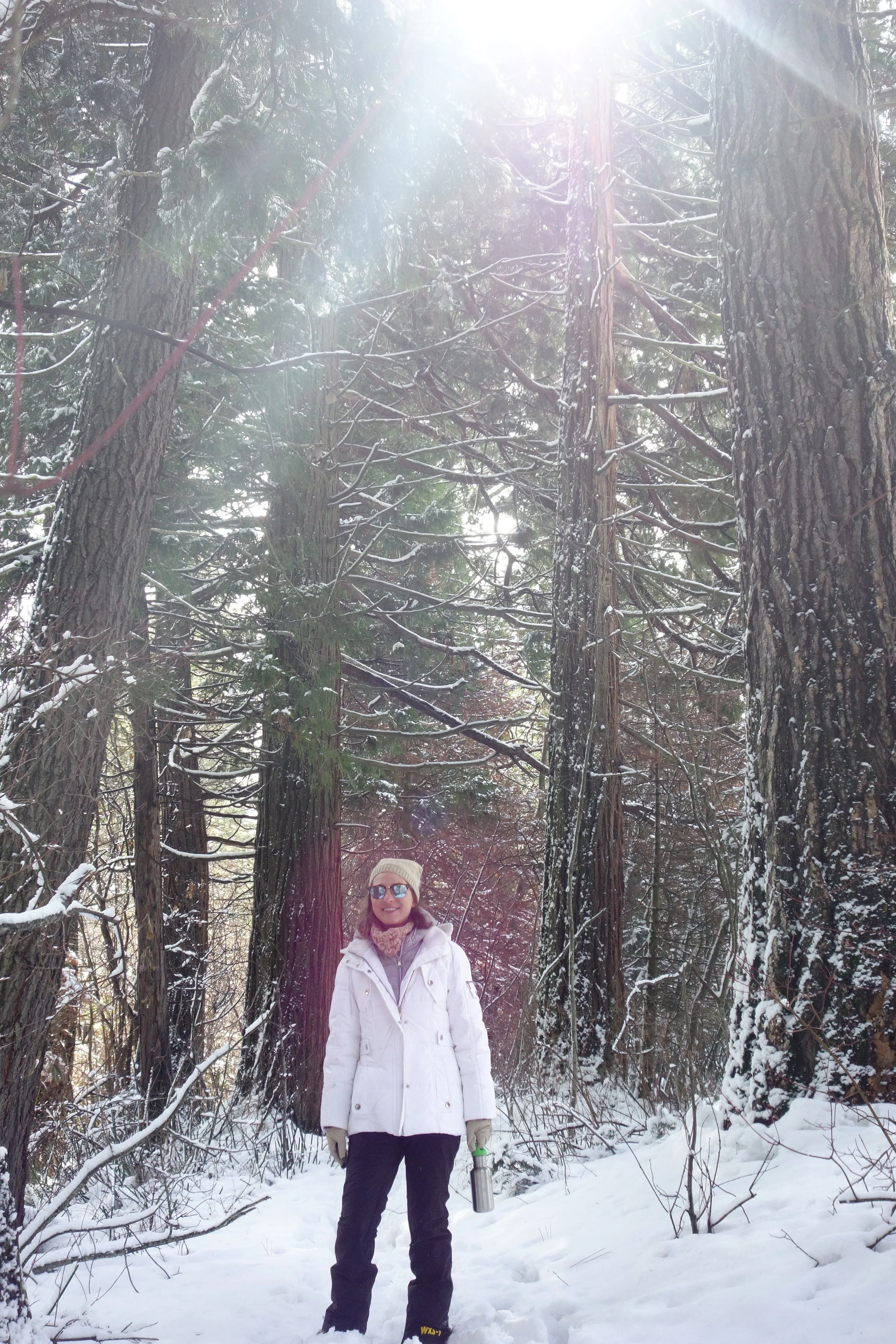 Mt. Shasta Spiritual Tours