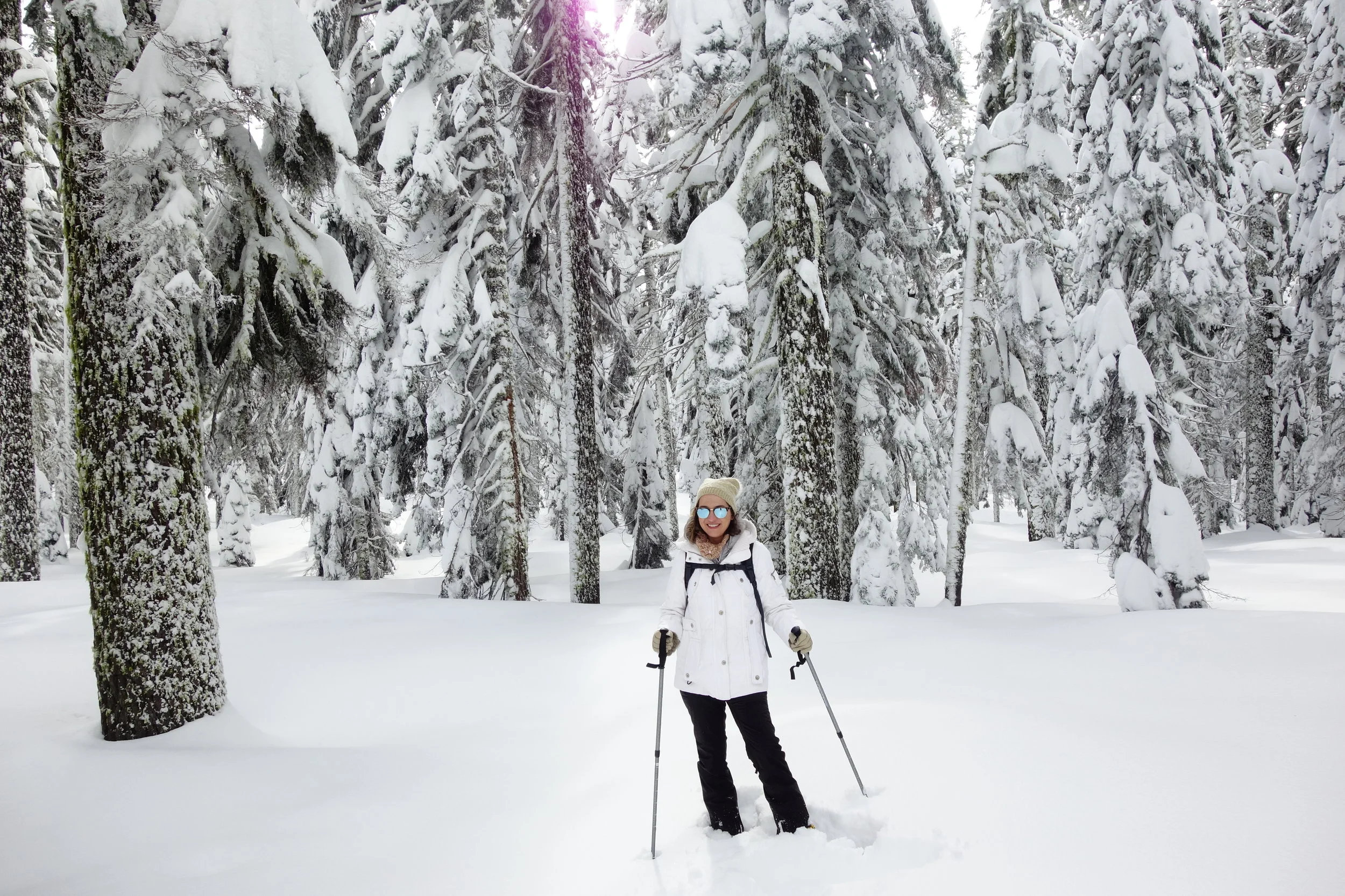 Mt. Shasta Spiritual Tours