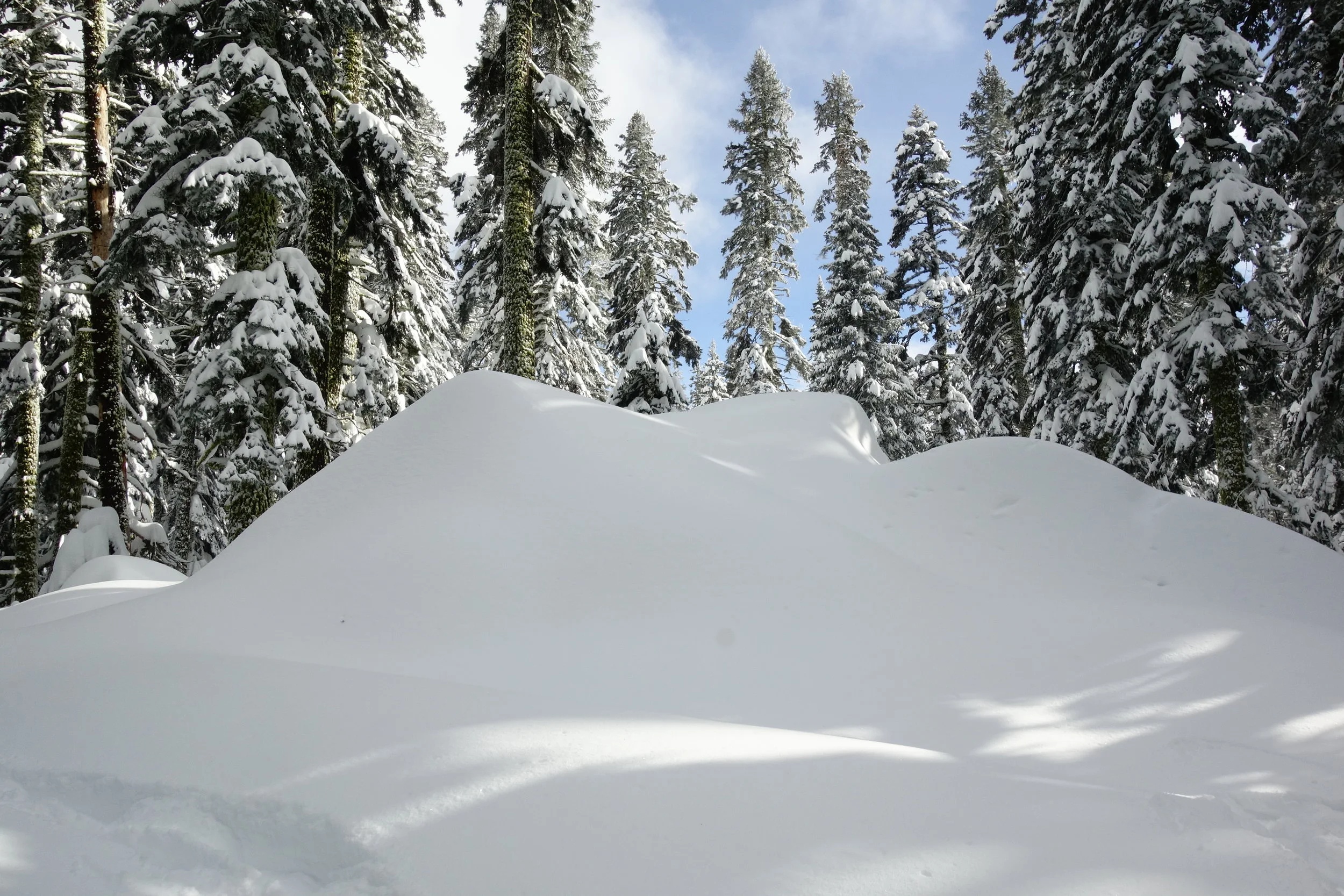 Mt. Shasta Spiritual Tours