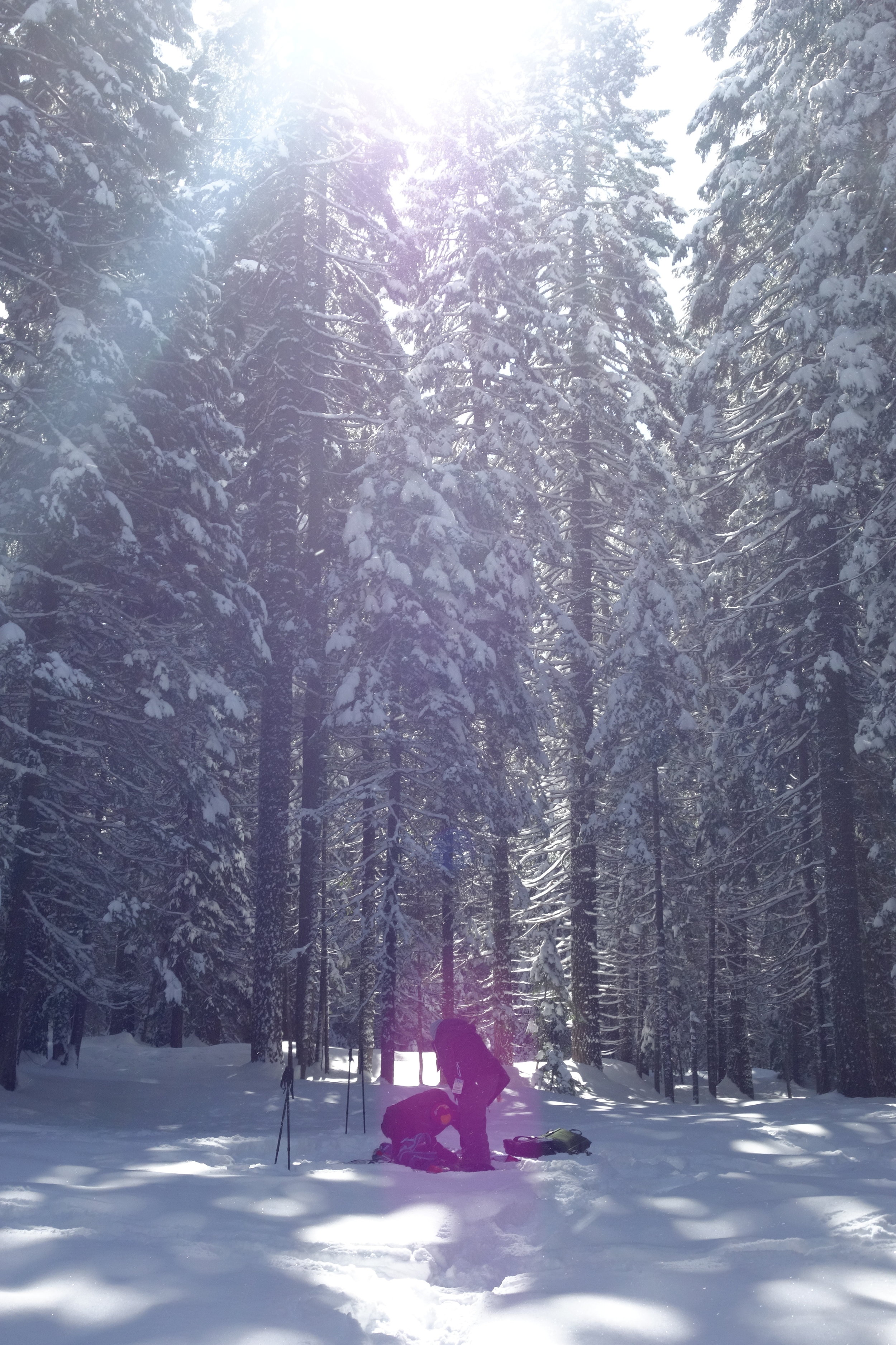 Mt. Shasta Spiritual Tours