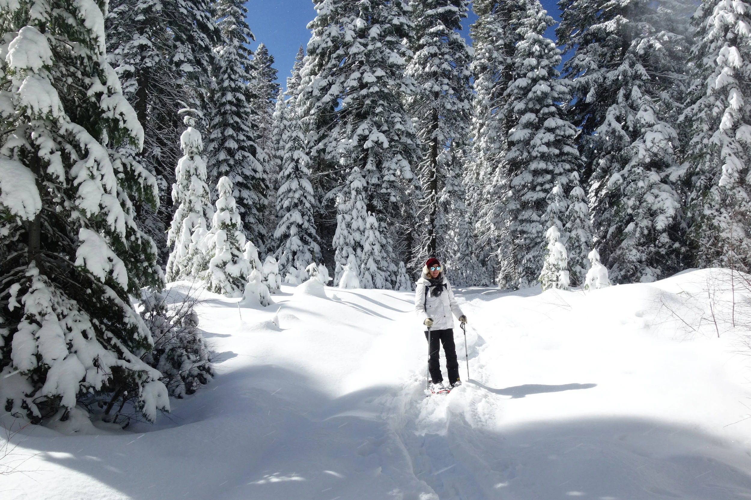 Mt. Shasta Spiritual Tours