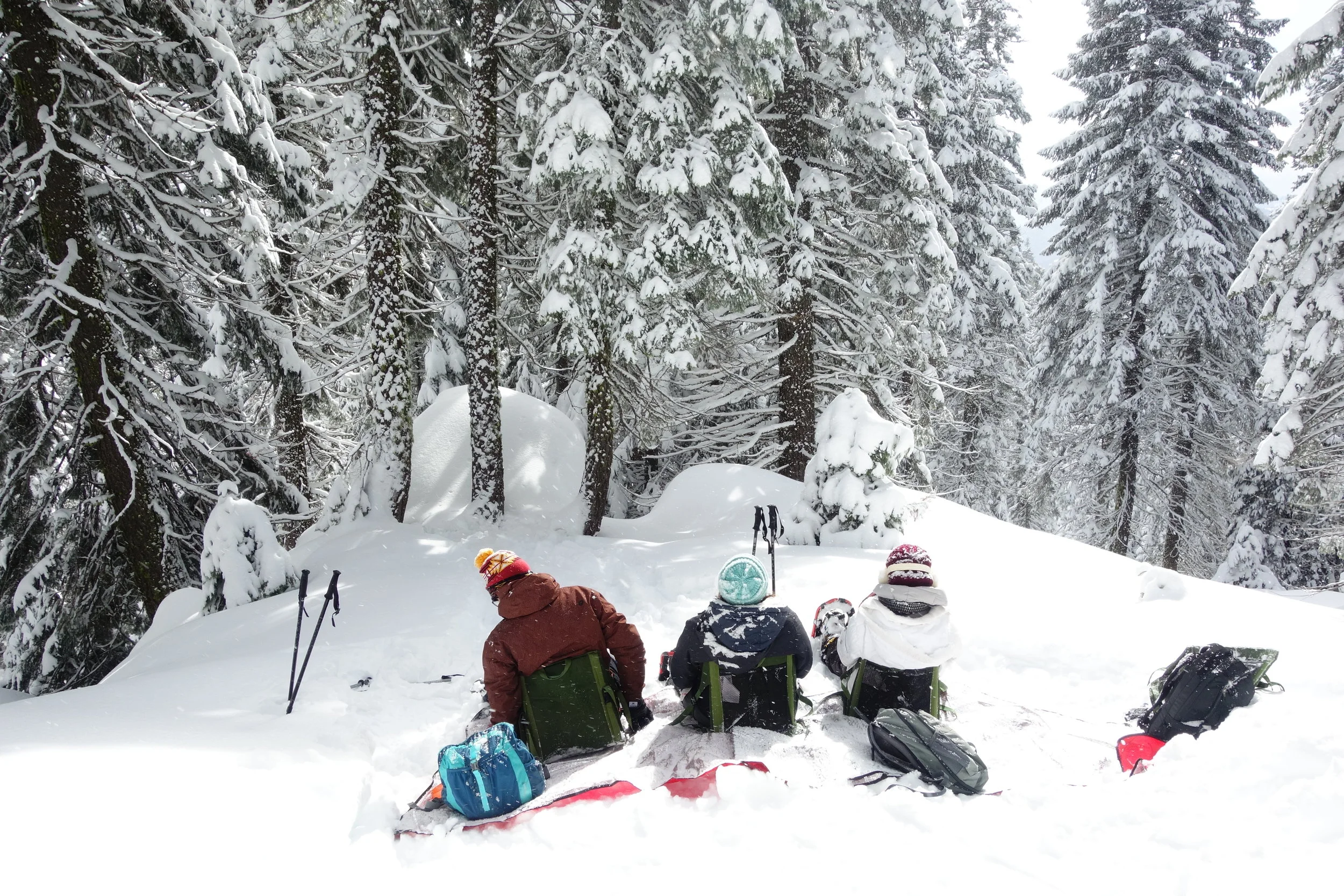 Mt. Shasta Spiritual Tours