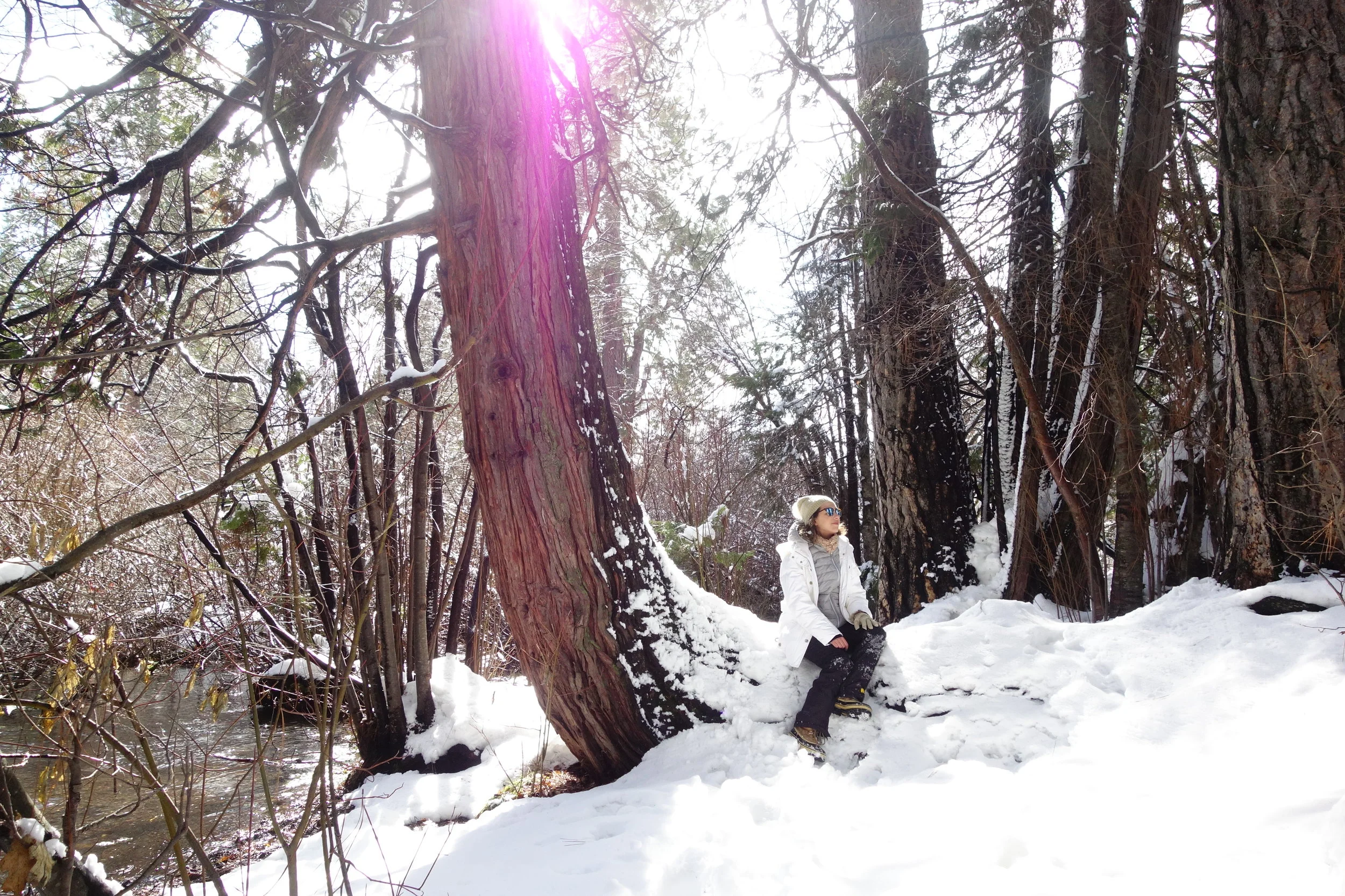 Mt. Shasta Spiritual Tours