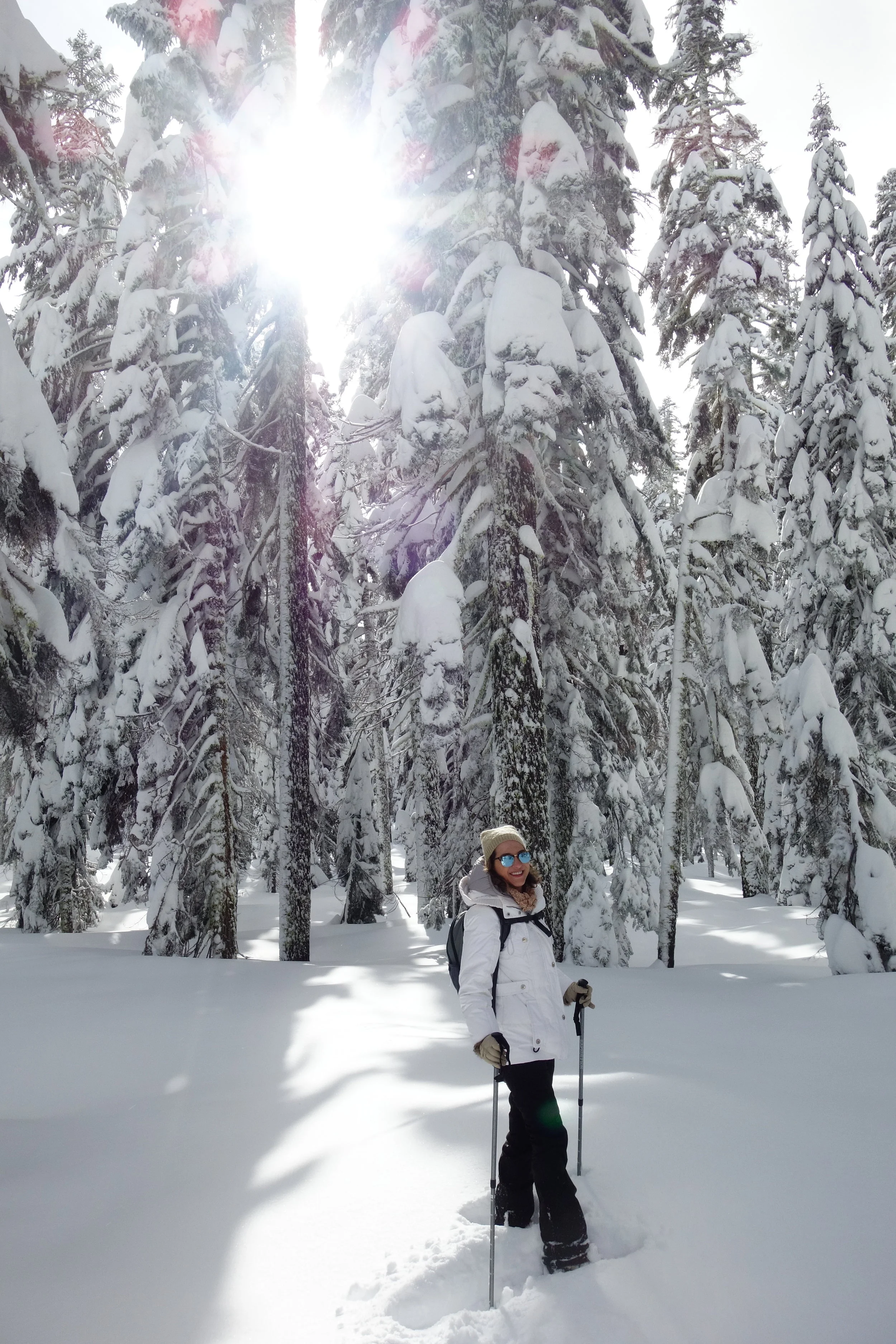 Mt. Shasta Spiritual Tours