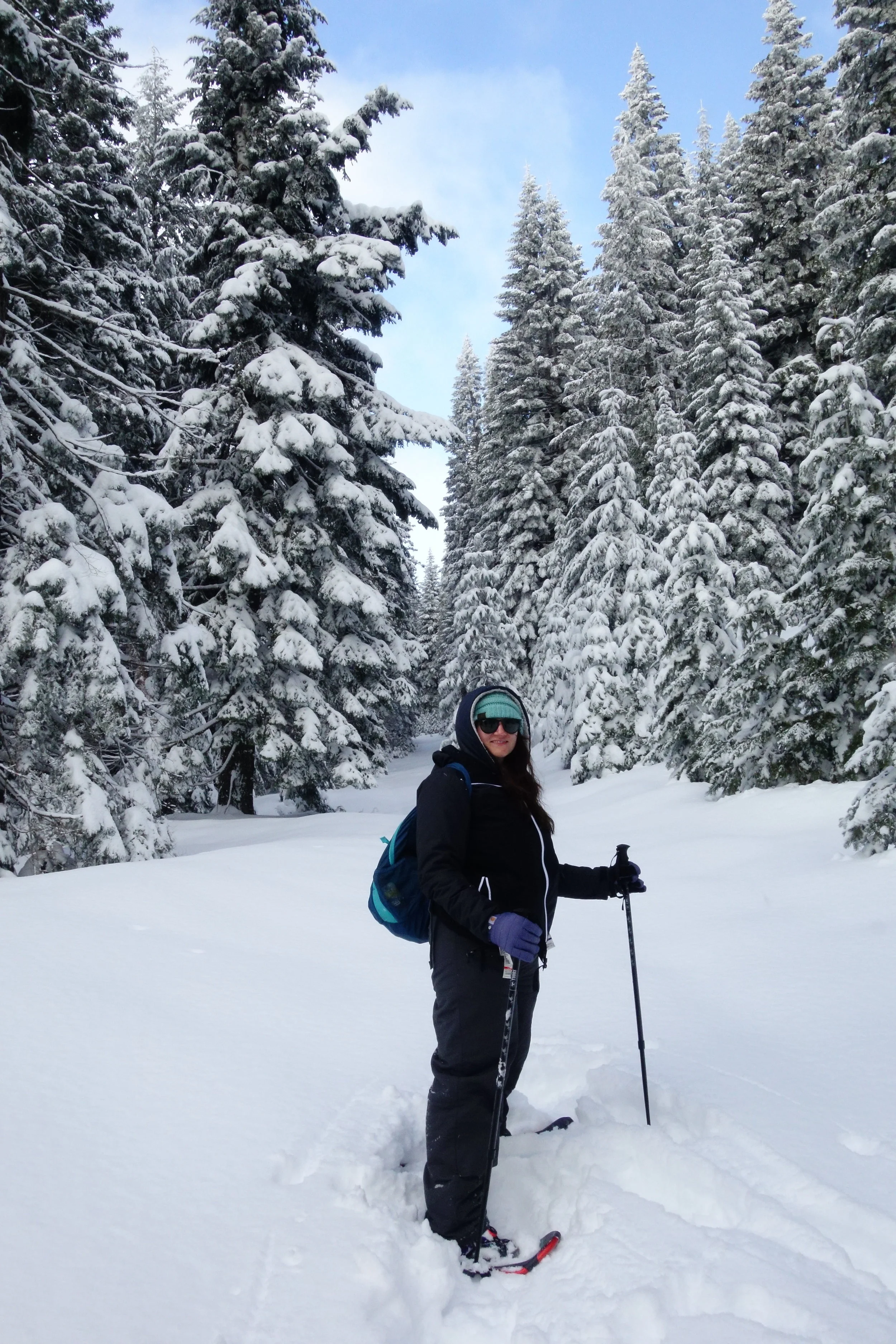 Mt. Shasta Spiritual Tours