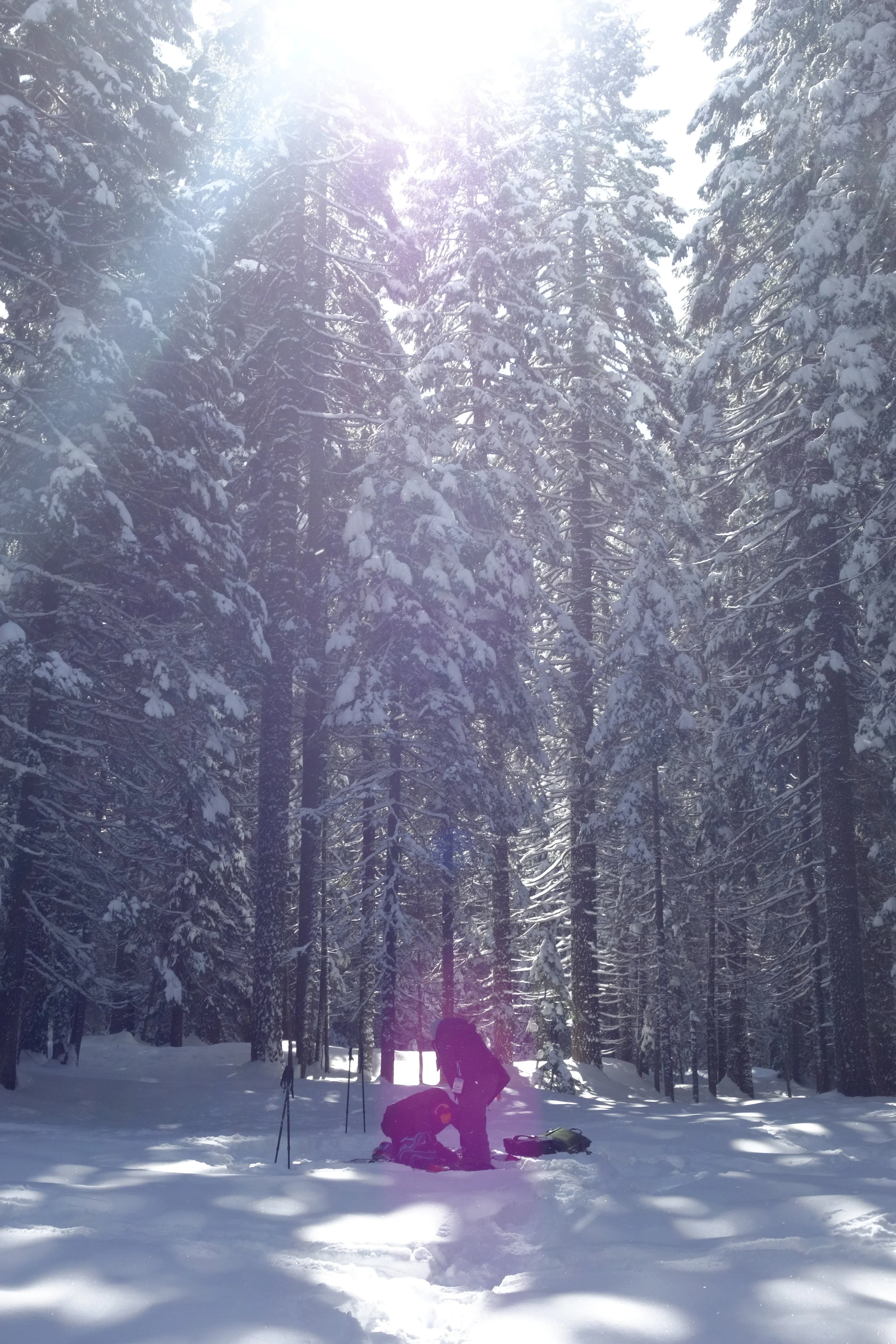 Mt. Shasta Spiritual Tours