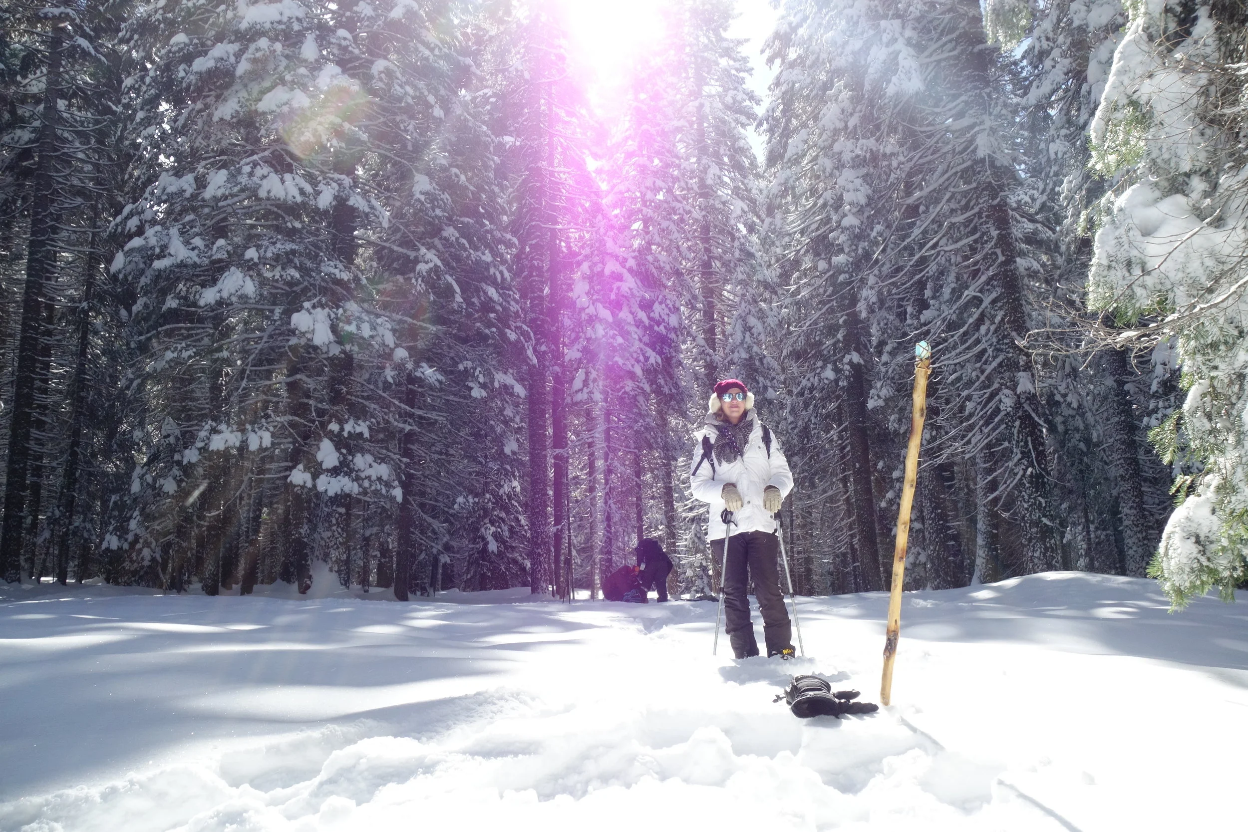 Mt. Shasta Spiritual Tours