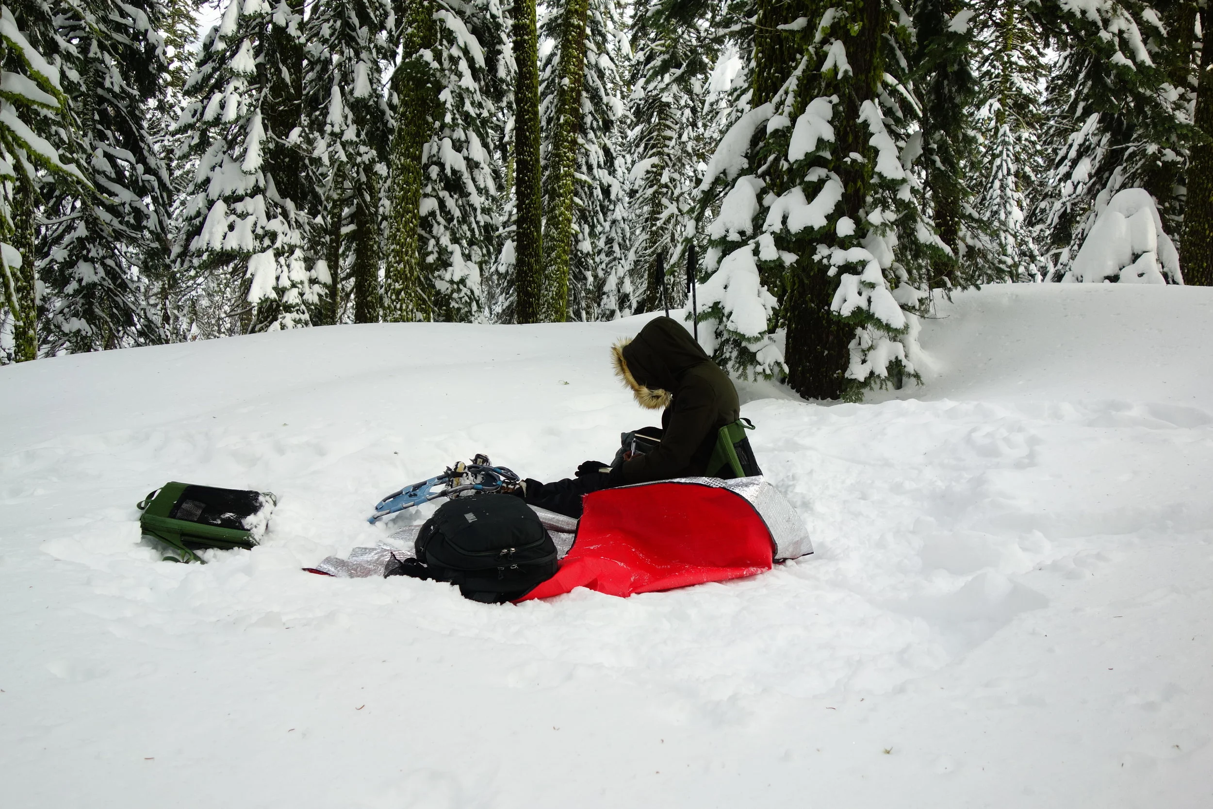 Mt Shasta Spiritual Tours